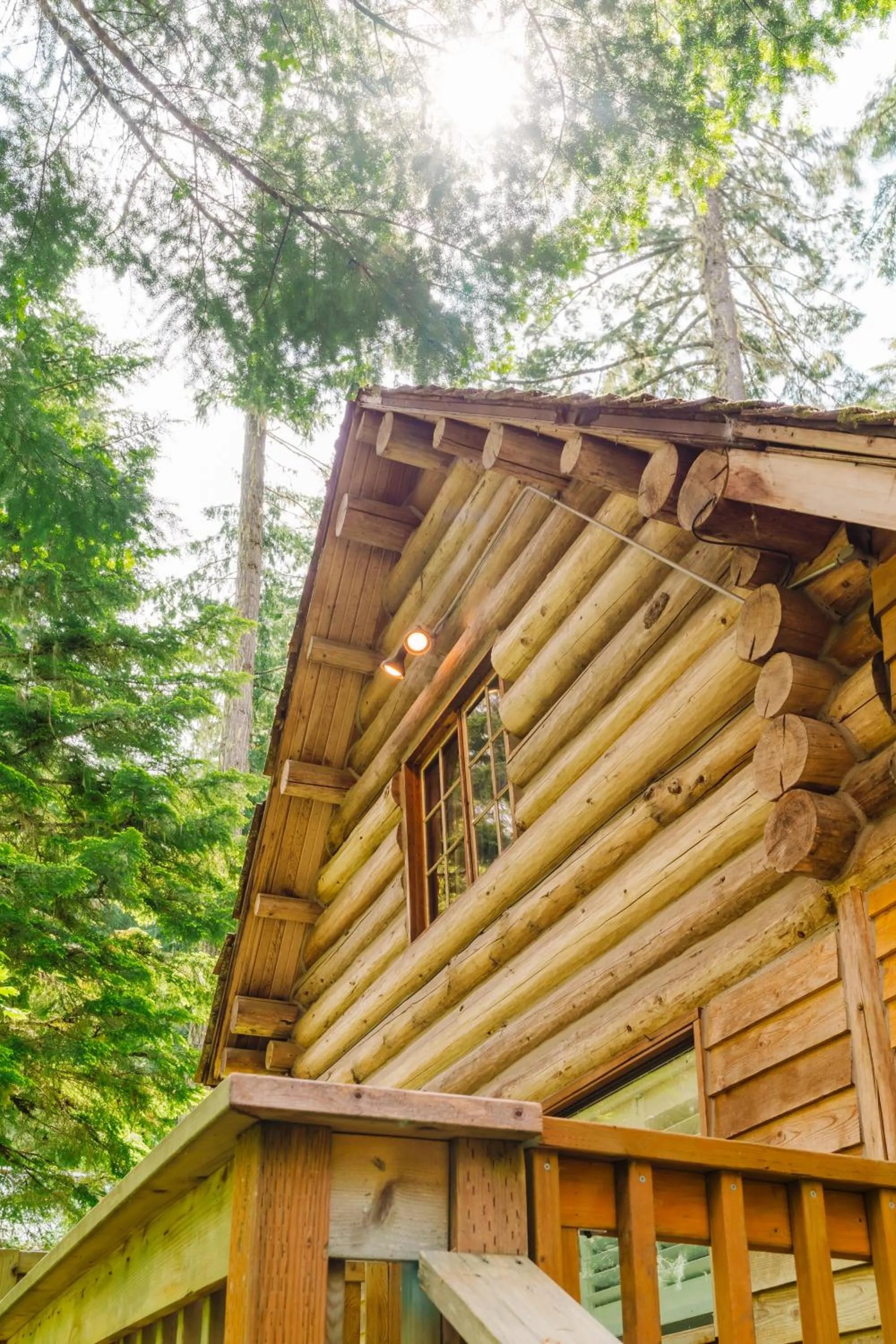 Day in LOGE Alta Crystal