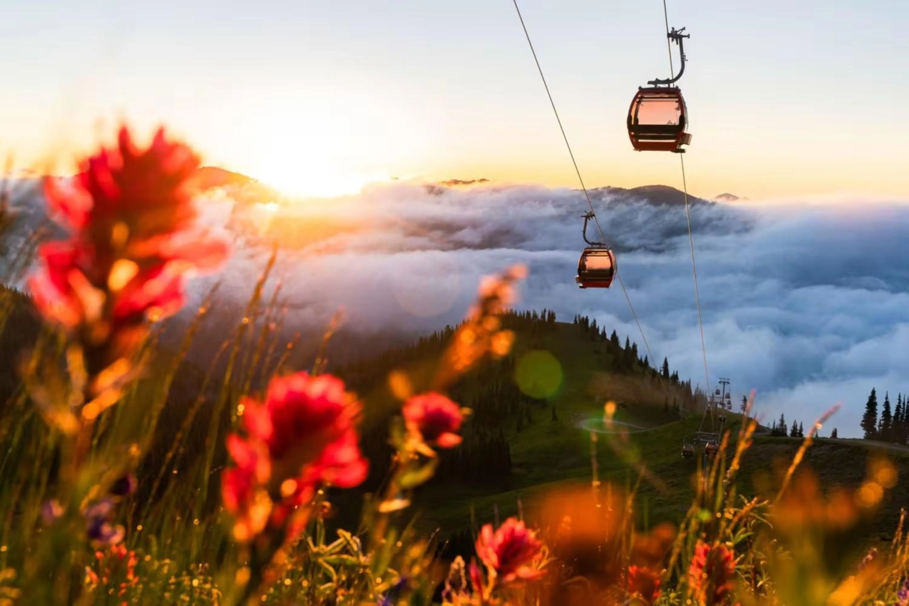 Nearby landmark in LOGE Alta Crystal