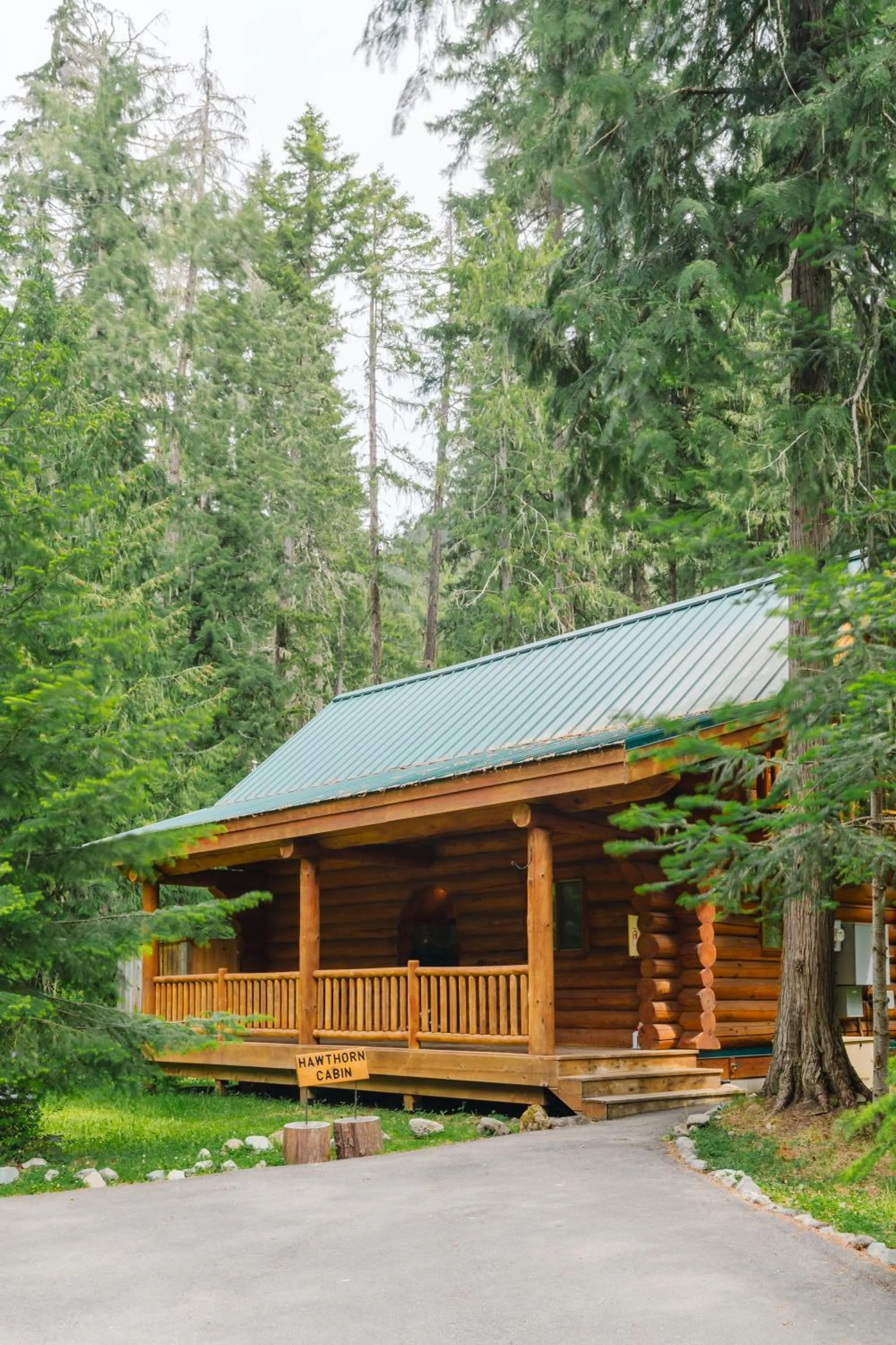 Day in LOGE Alta Crystal