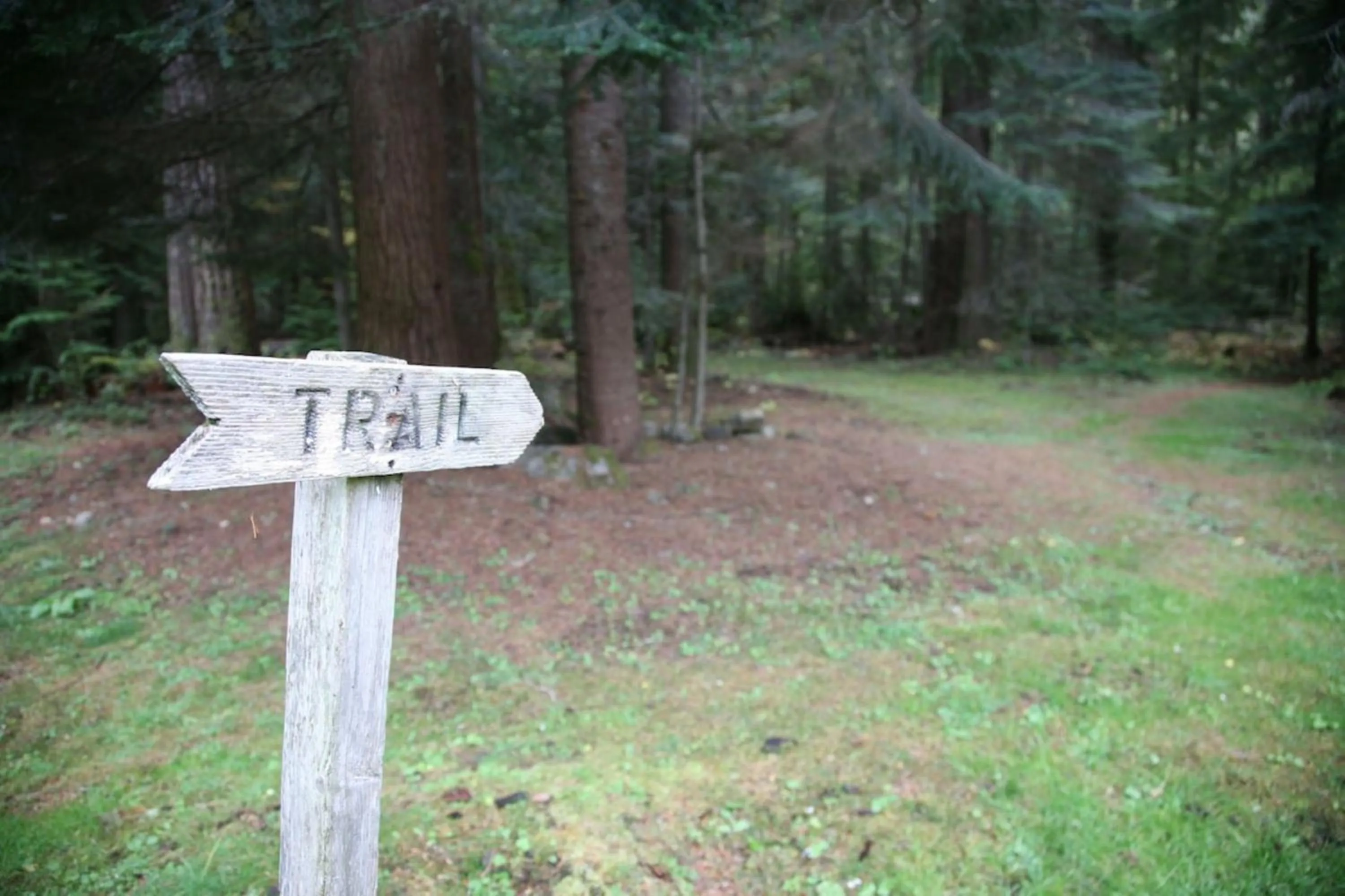 Nearby landmark in LOGE Alta Crystal