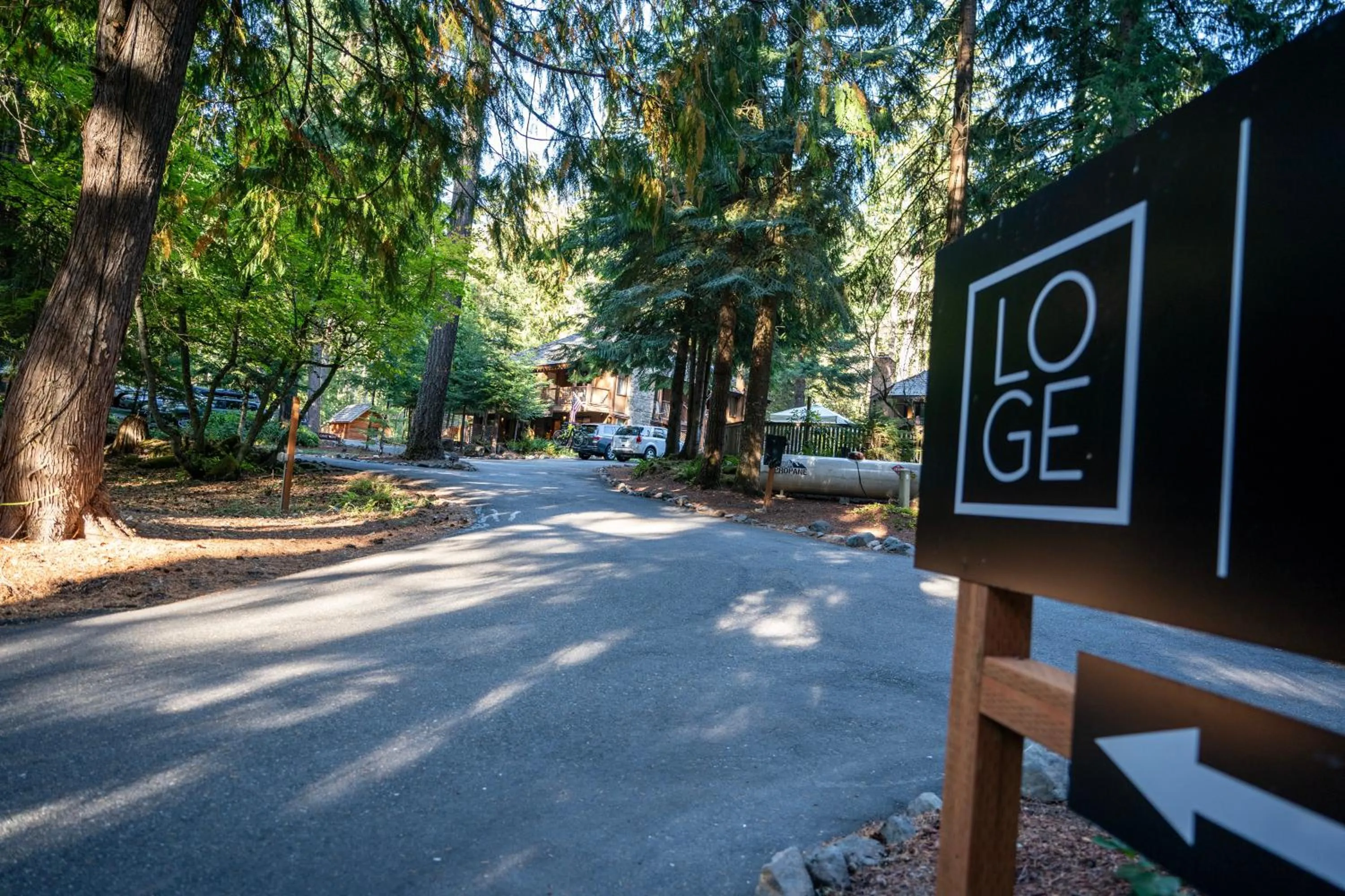 Logo/Certificate/Sign in LOGE Alta Crystal