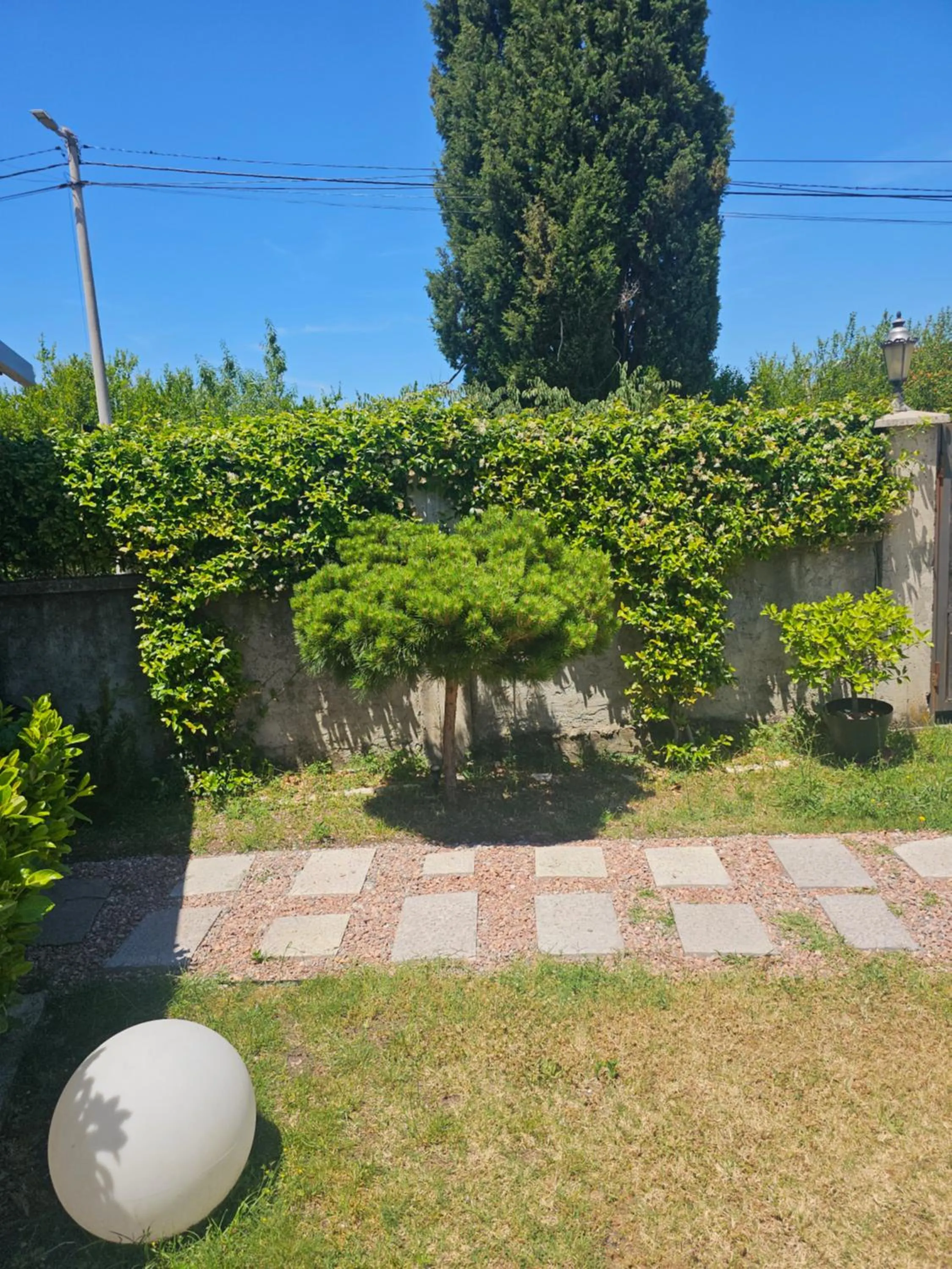 Garden in Apartments Aerodrom