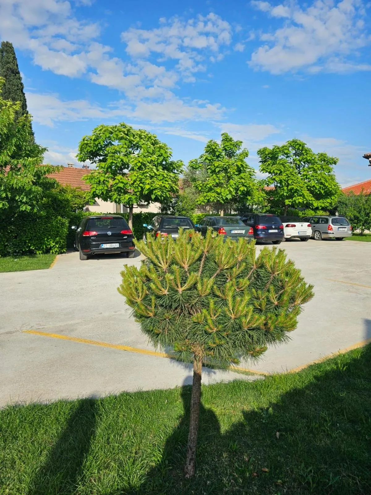 Property building in Apartments Aerodrom