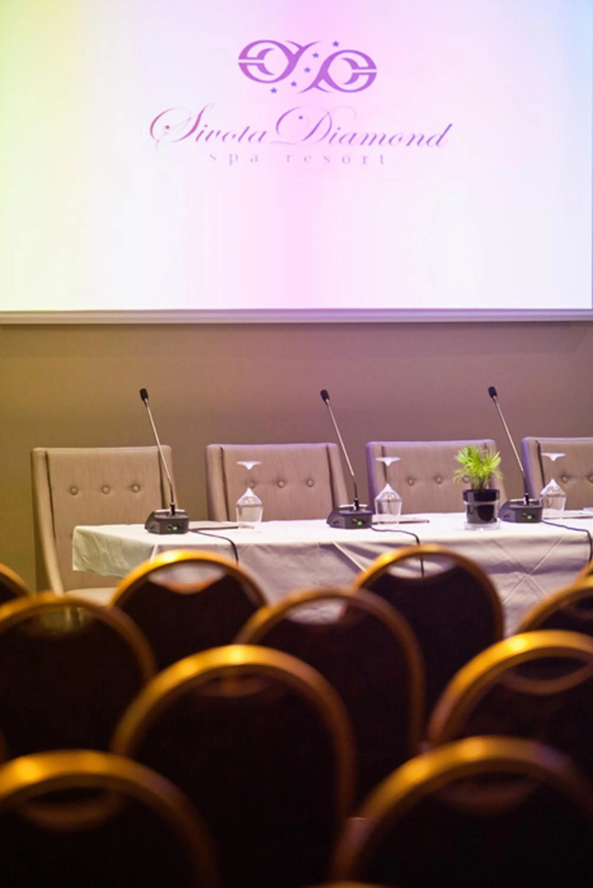 Business facilities in Sivota Diamond Spa Resort