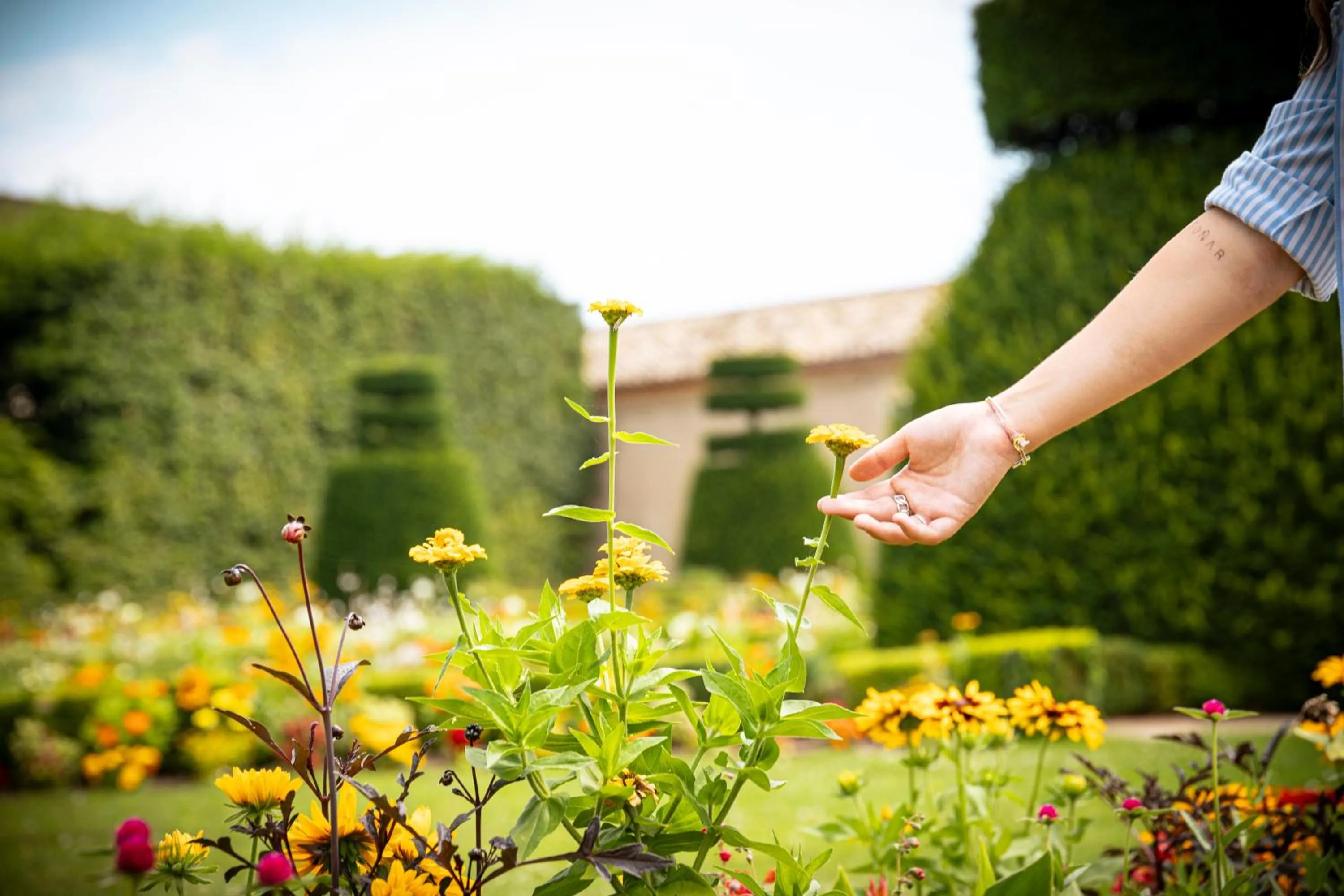 Garden in Château de Pizay