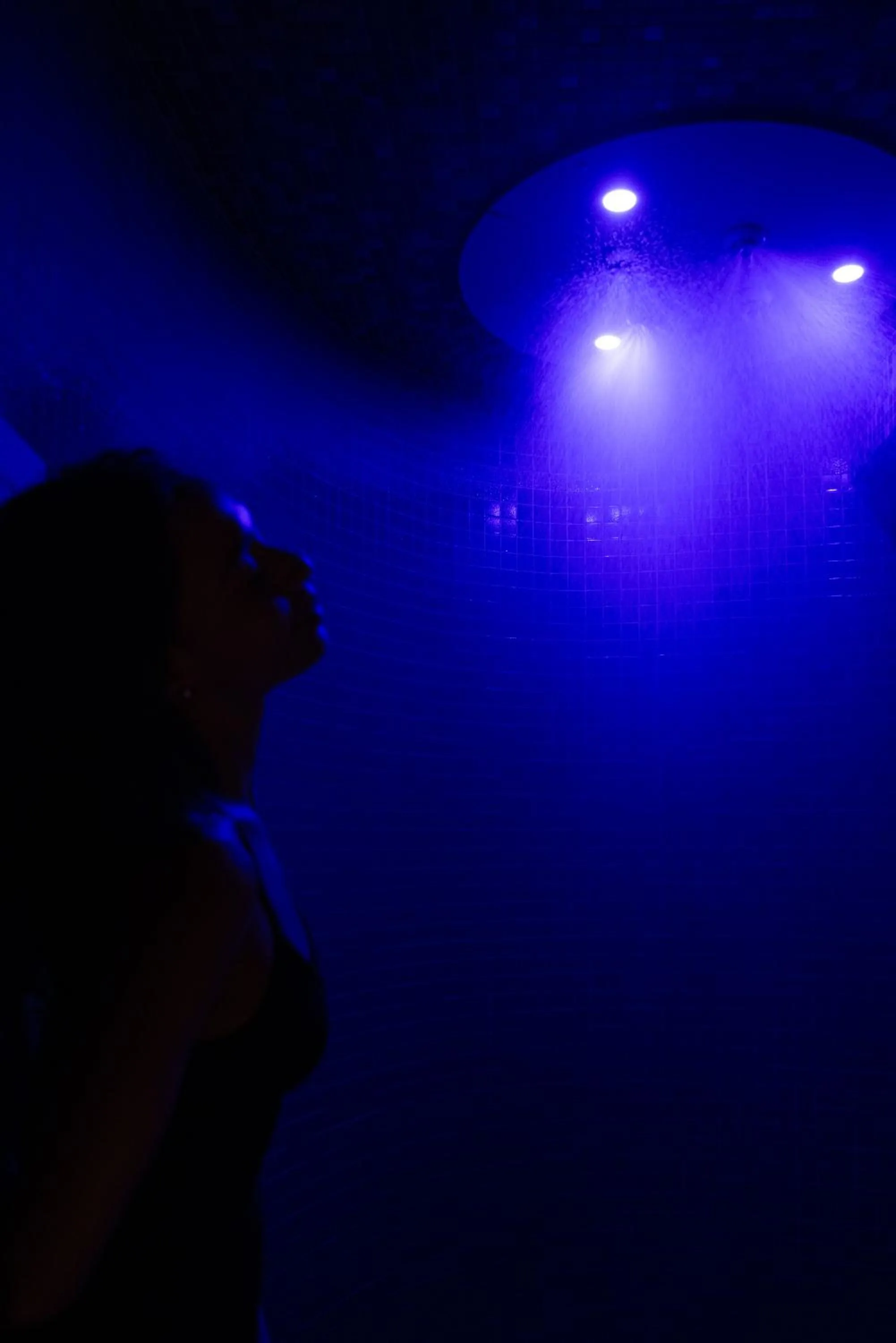 Hôtel & Spa Vitalparc, The Originals Collection