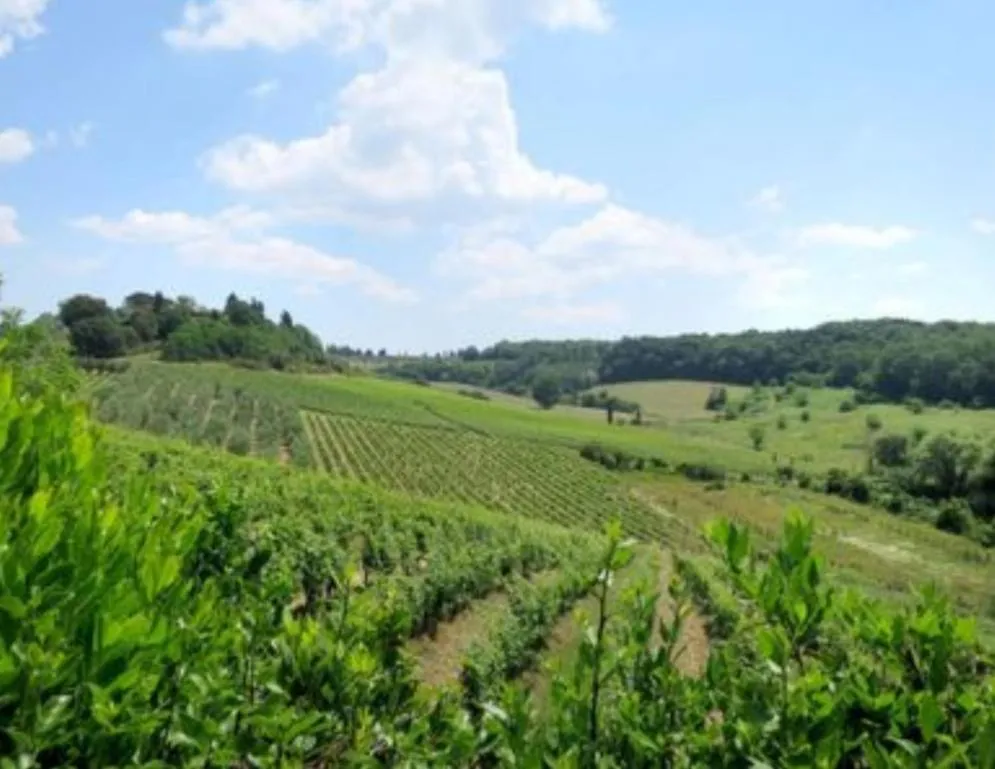 Agriturismo La Moraia