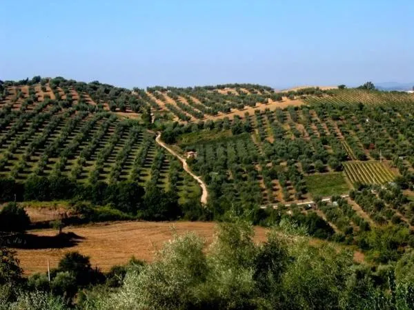 Agriturismo La Moraia
