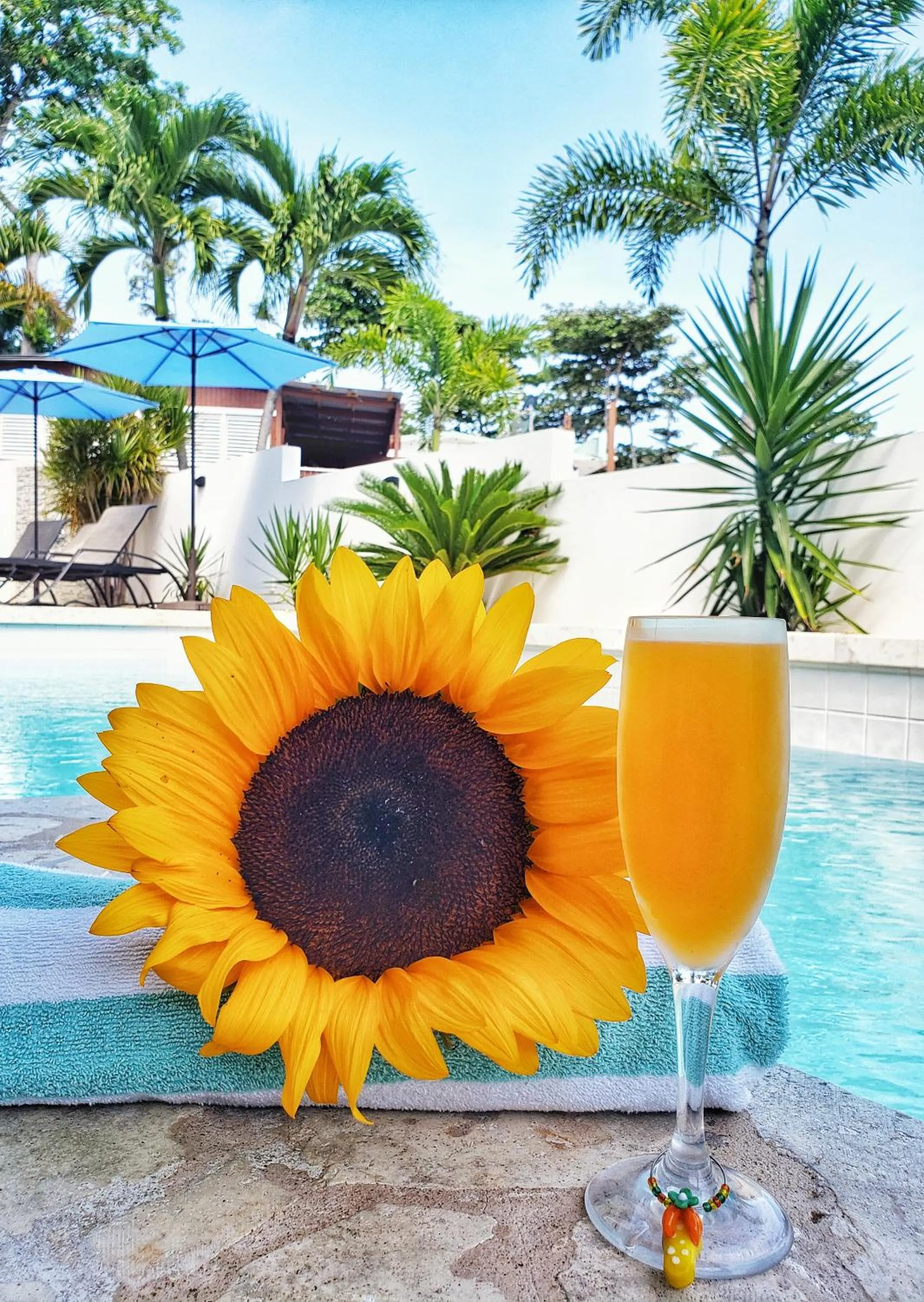 Casa Verde Hotel - Steps to the Beach, Pool, Restaurant & Bar