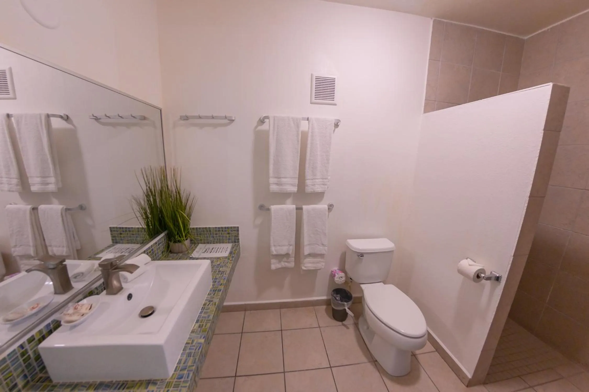 Bathroom in Casa Verde Hotel - Steps to the Beach, Pool, Restaurant & Bar