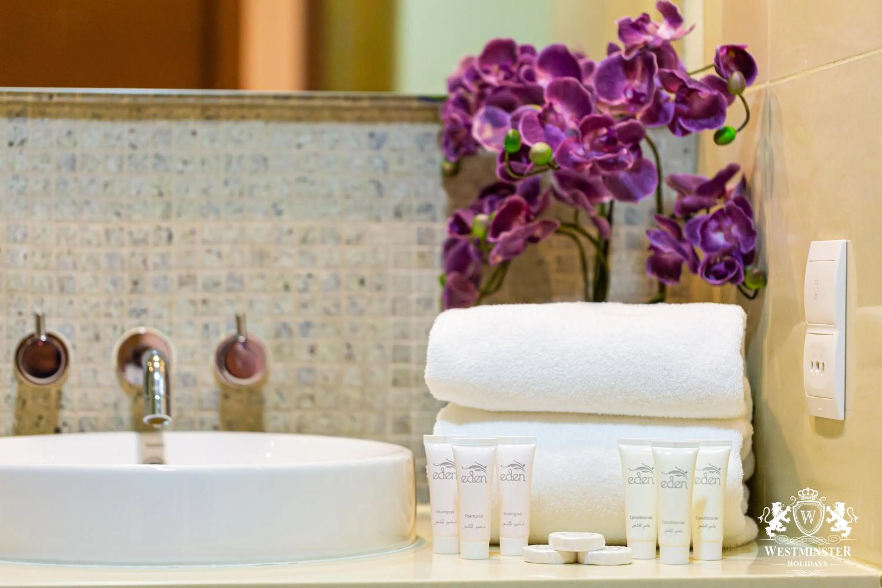 Shower in Westminster Claren Tower - Downtown