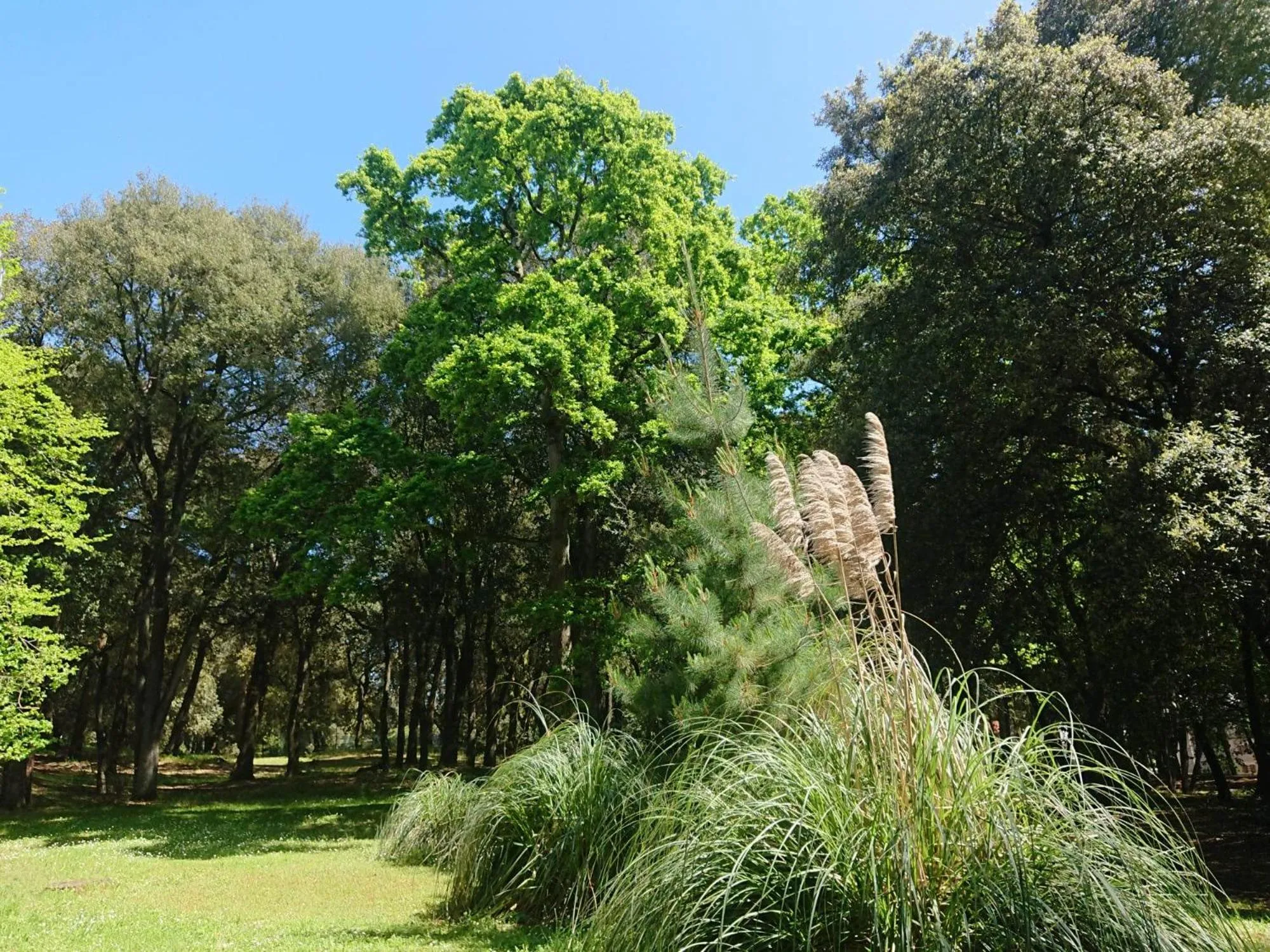 Garden in Hotel Ker Juliette