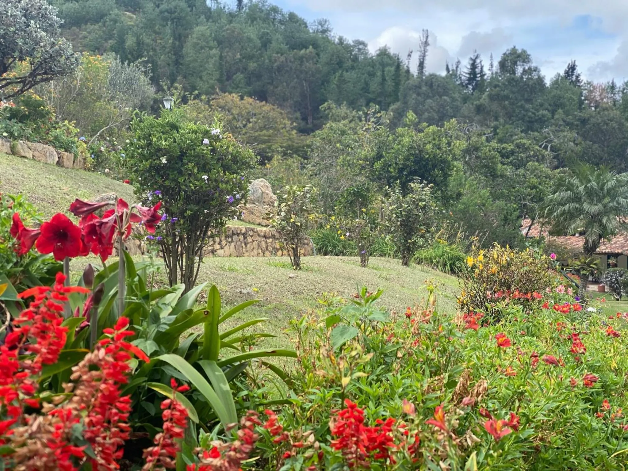 Day in Hospederia Centro de Convenciones Duruelo