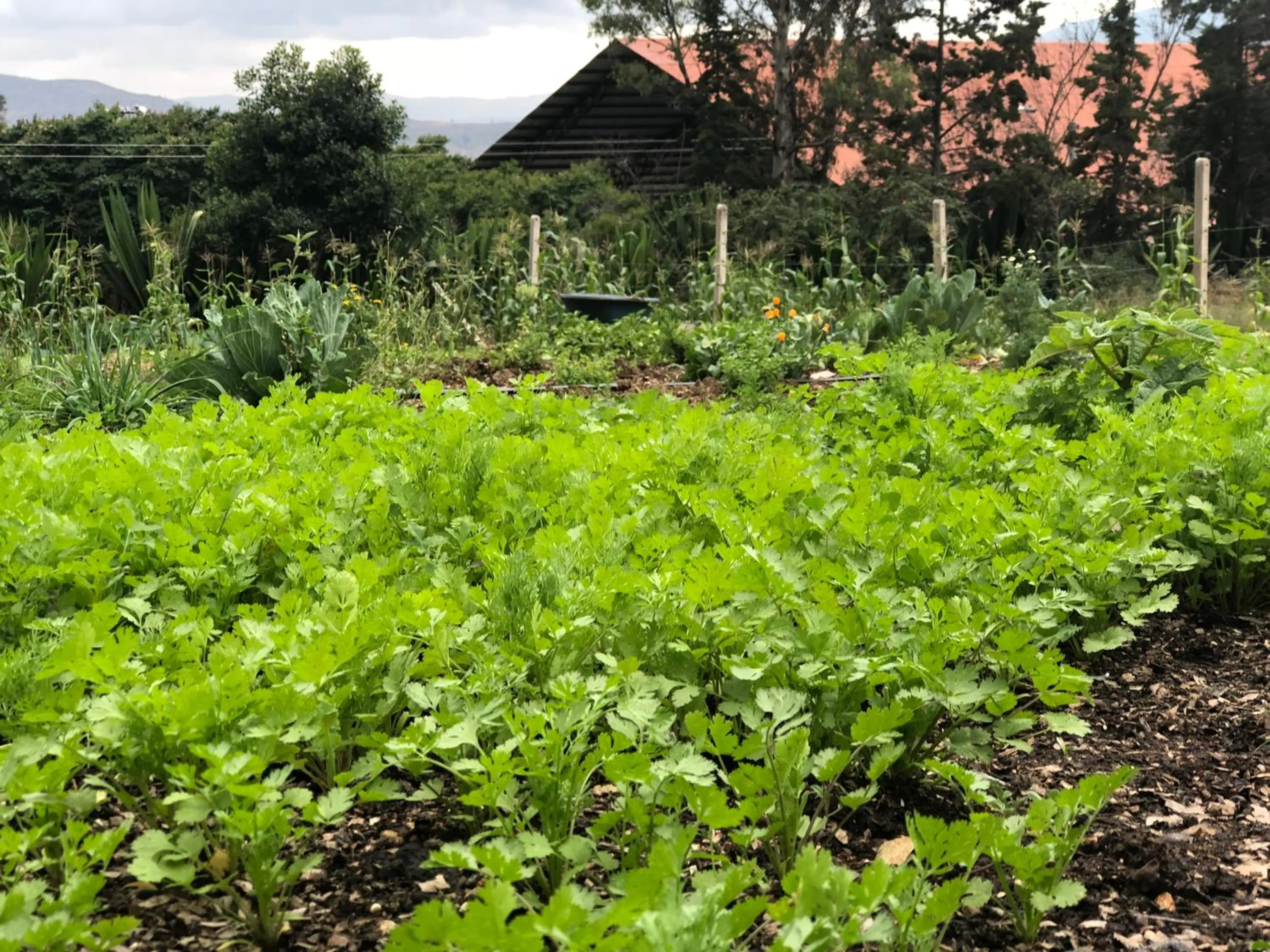 Natural landscape in Hospederia Centro de Convenciones Duruelo