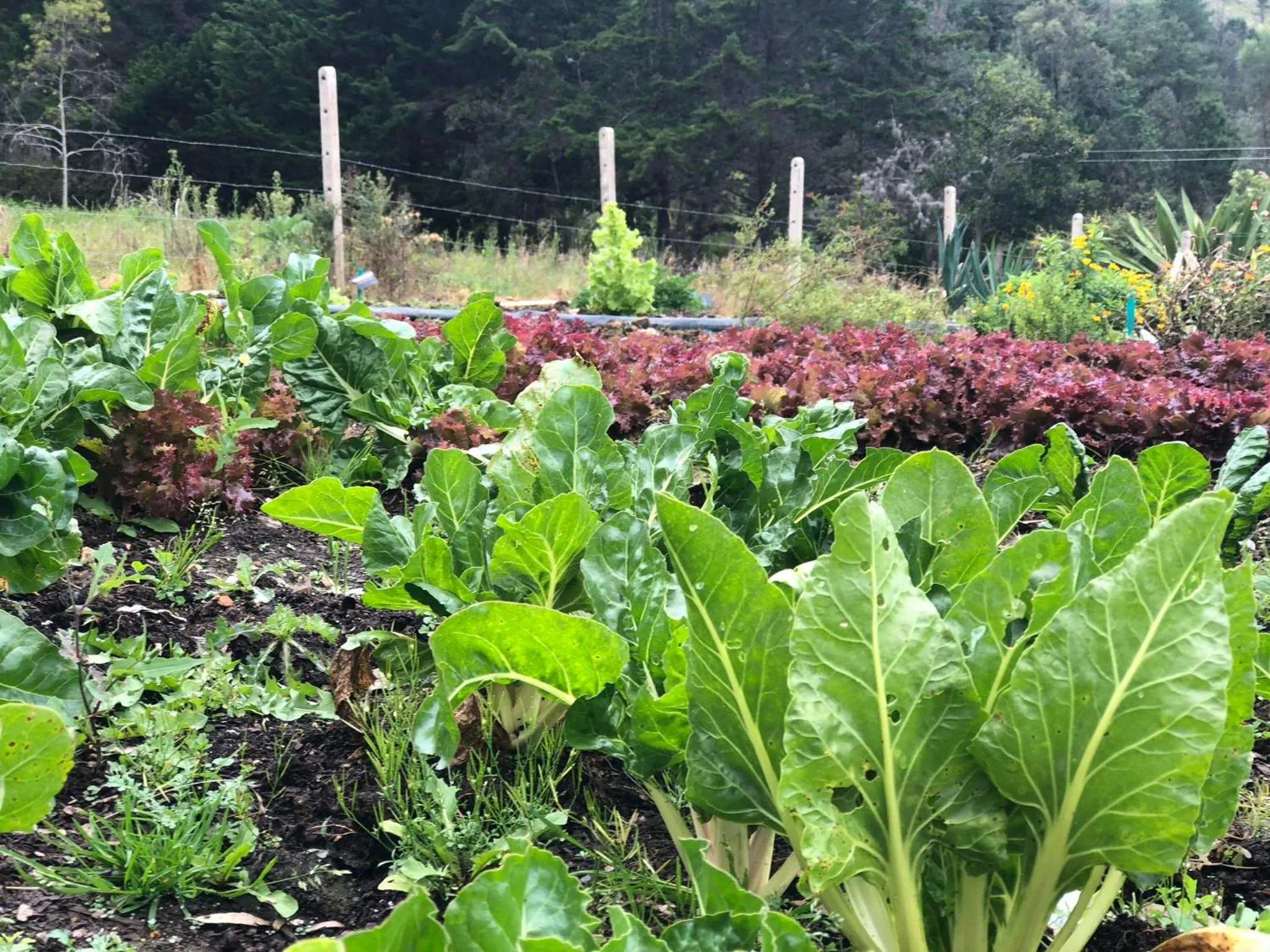 Day in Hospederia Centro de Convenciones Duruelo