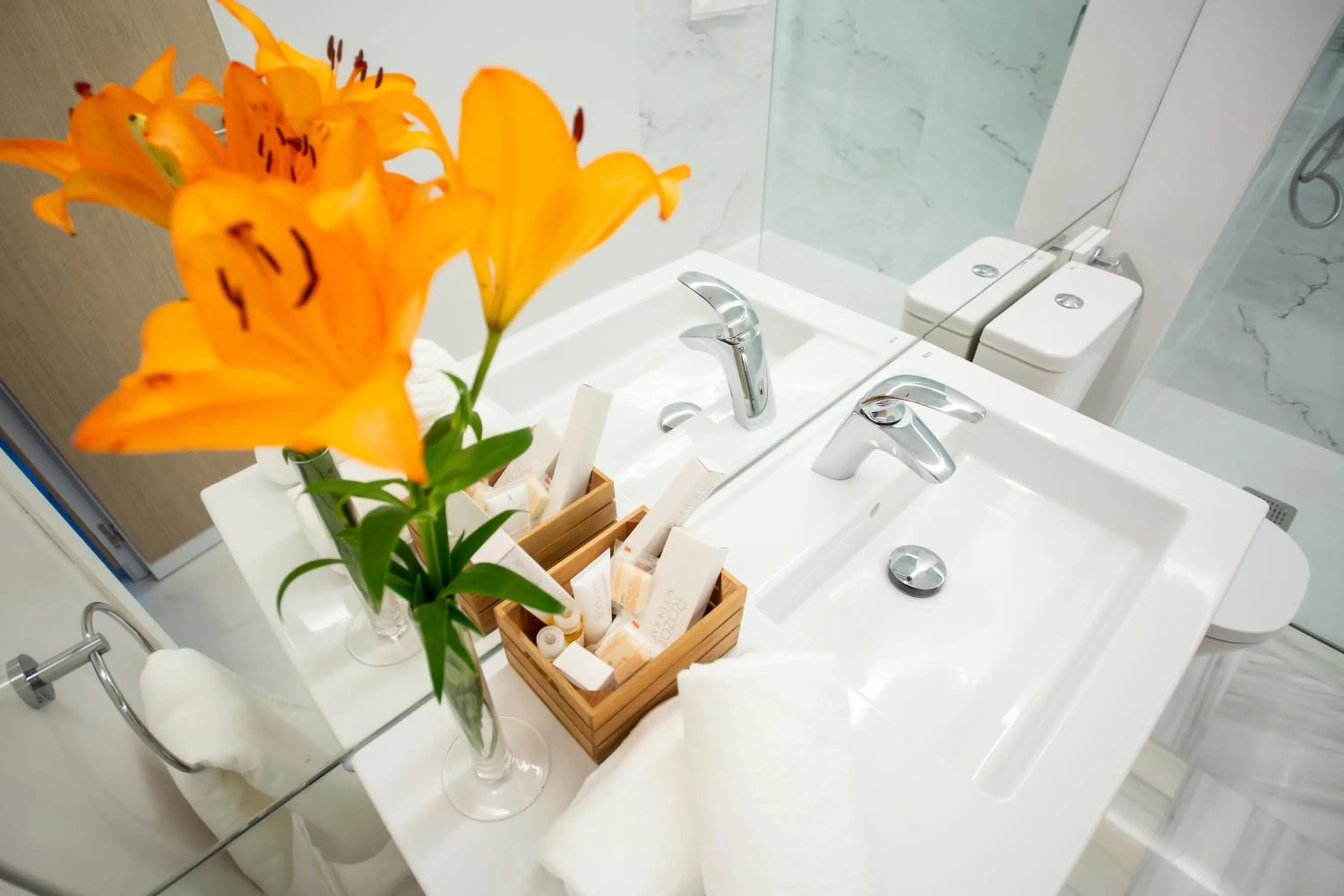 Shower in Plazuela del Carbón Suites