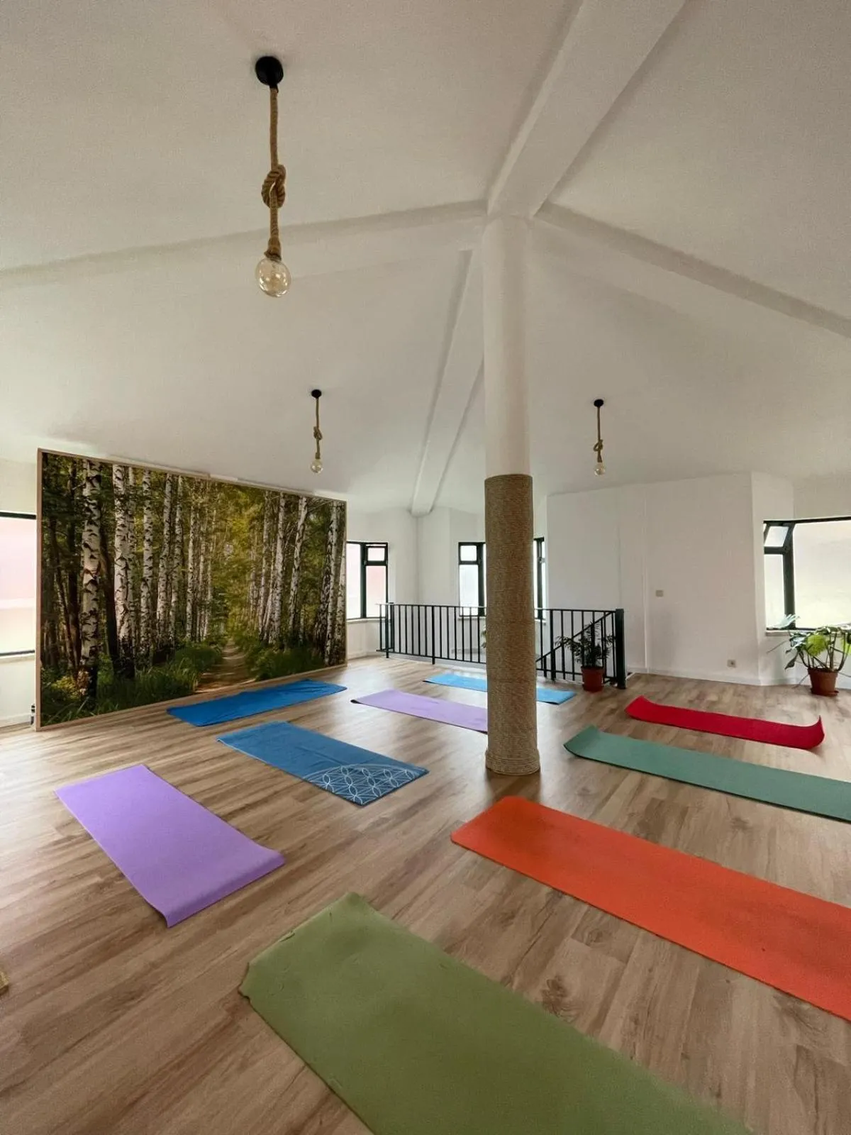 Activities in Supertubos Beach Hostel