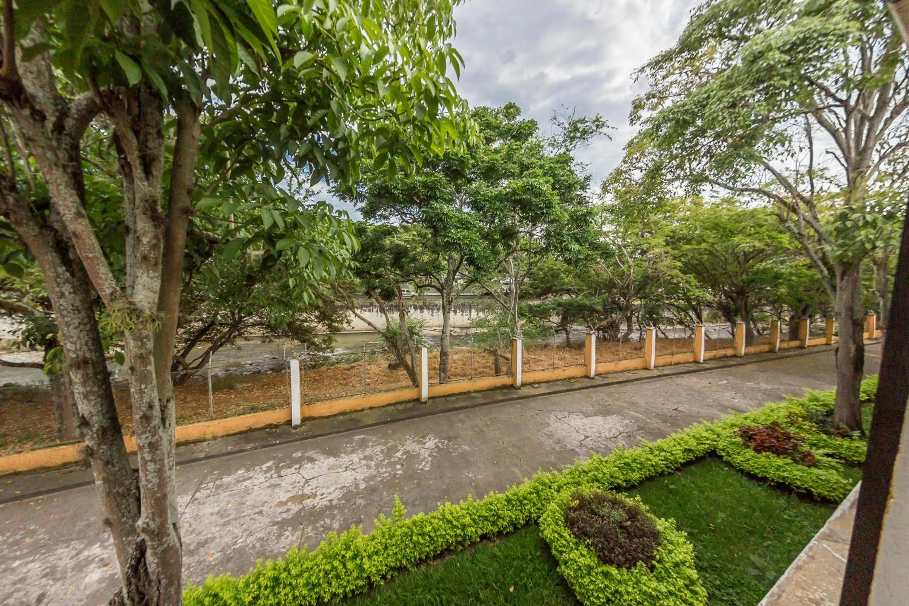Garden view in Hotel Guadalajara