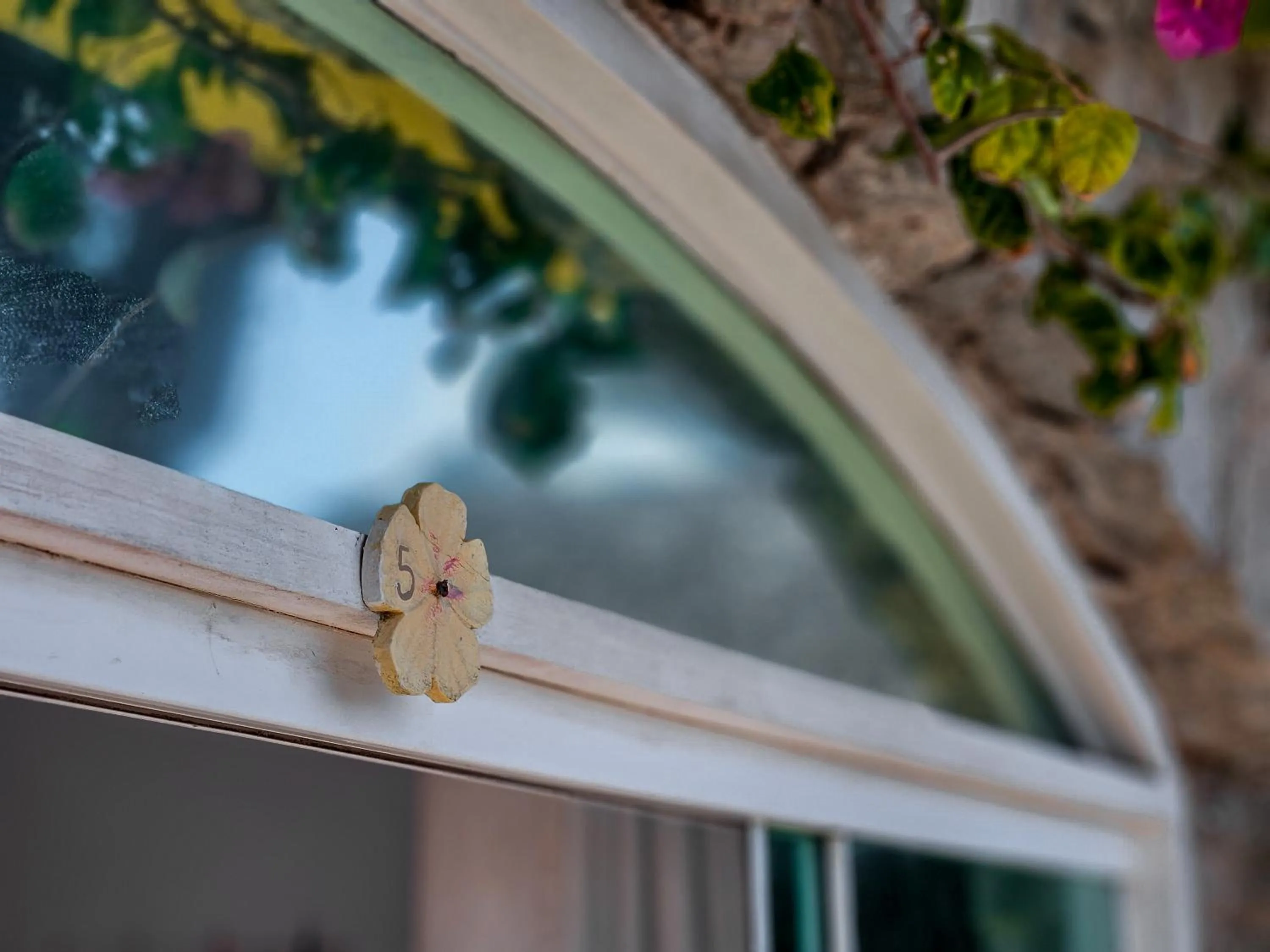 Bella Vista Ocean View