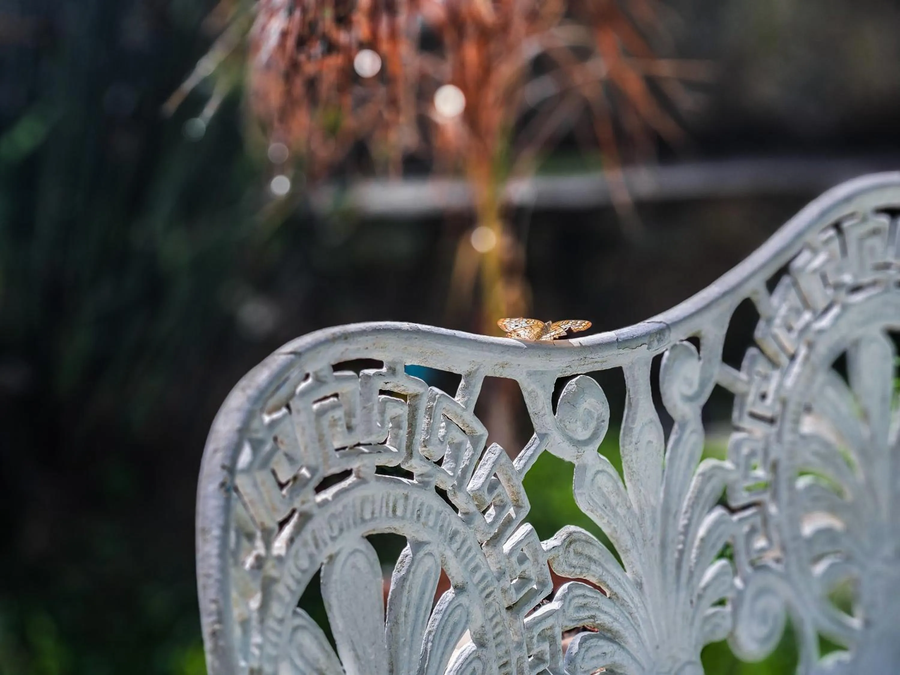 Bella Vista Ocean View