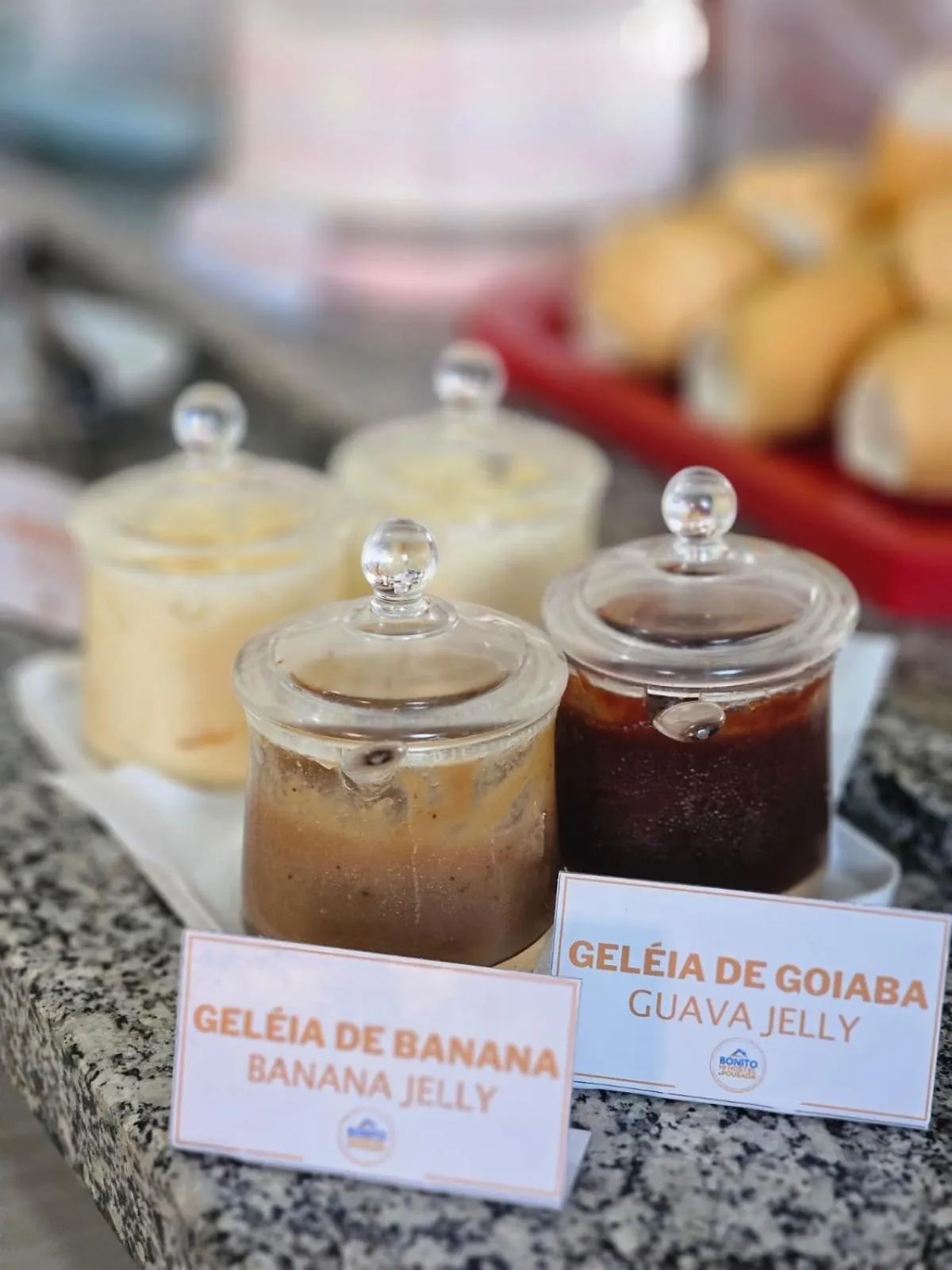 Toilet in Bonito HI Hostel e Pousada