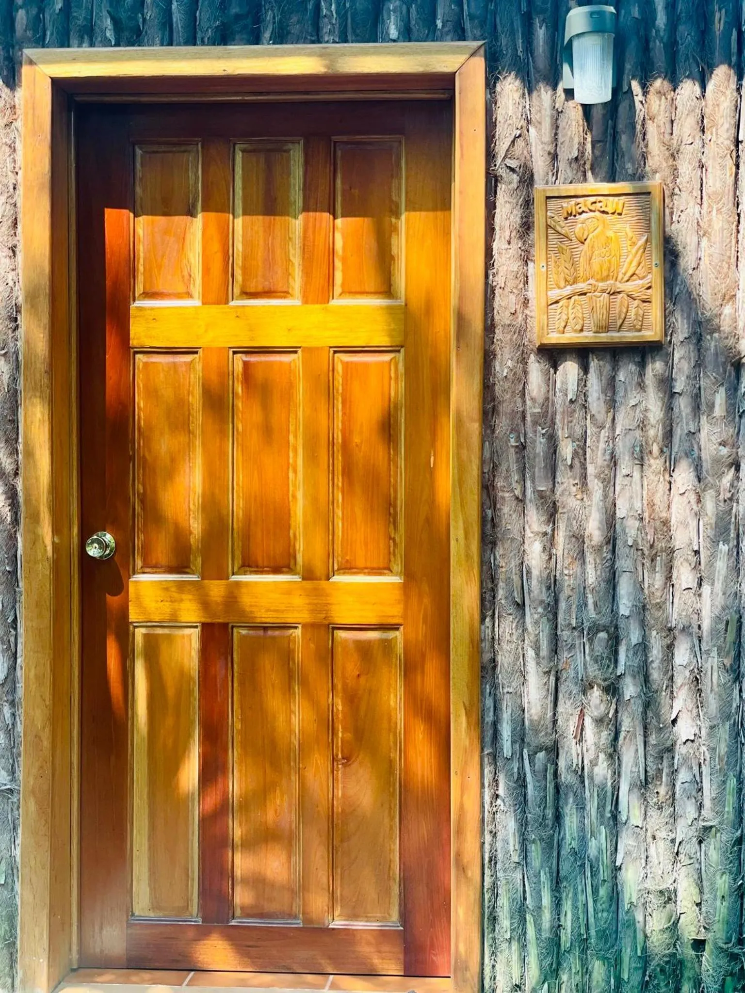 Garden in Mariposa Jungle Lodge