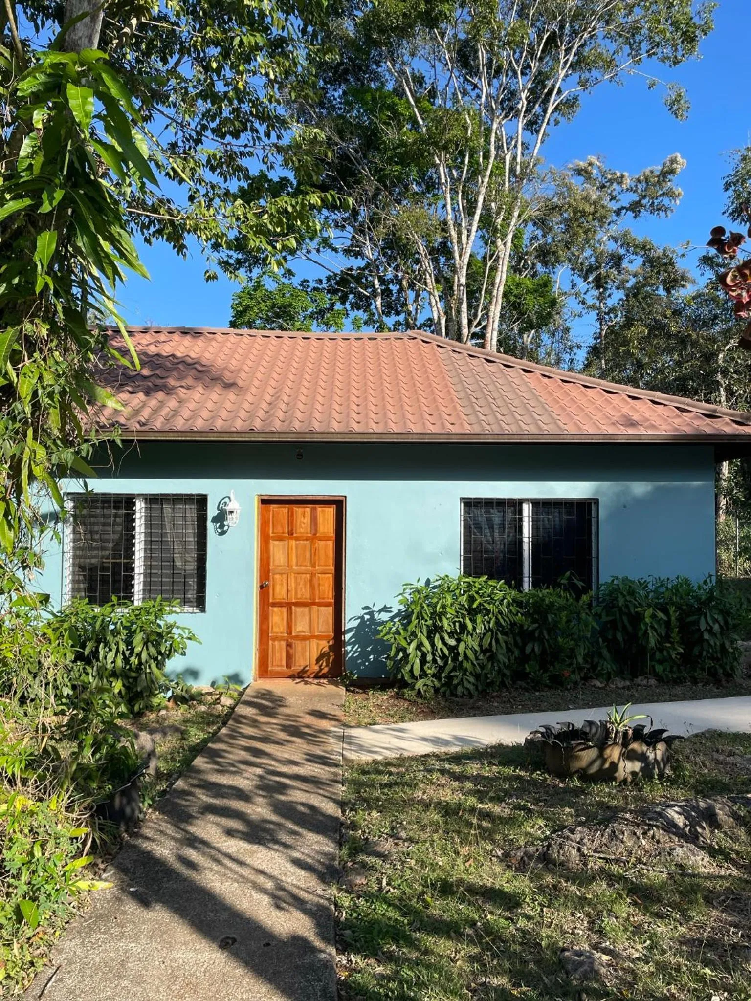 Garden in Mariposa Jungle Lodge