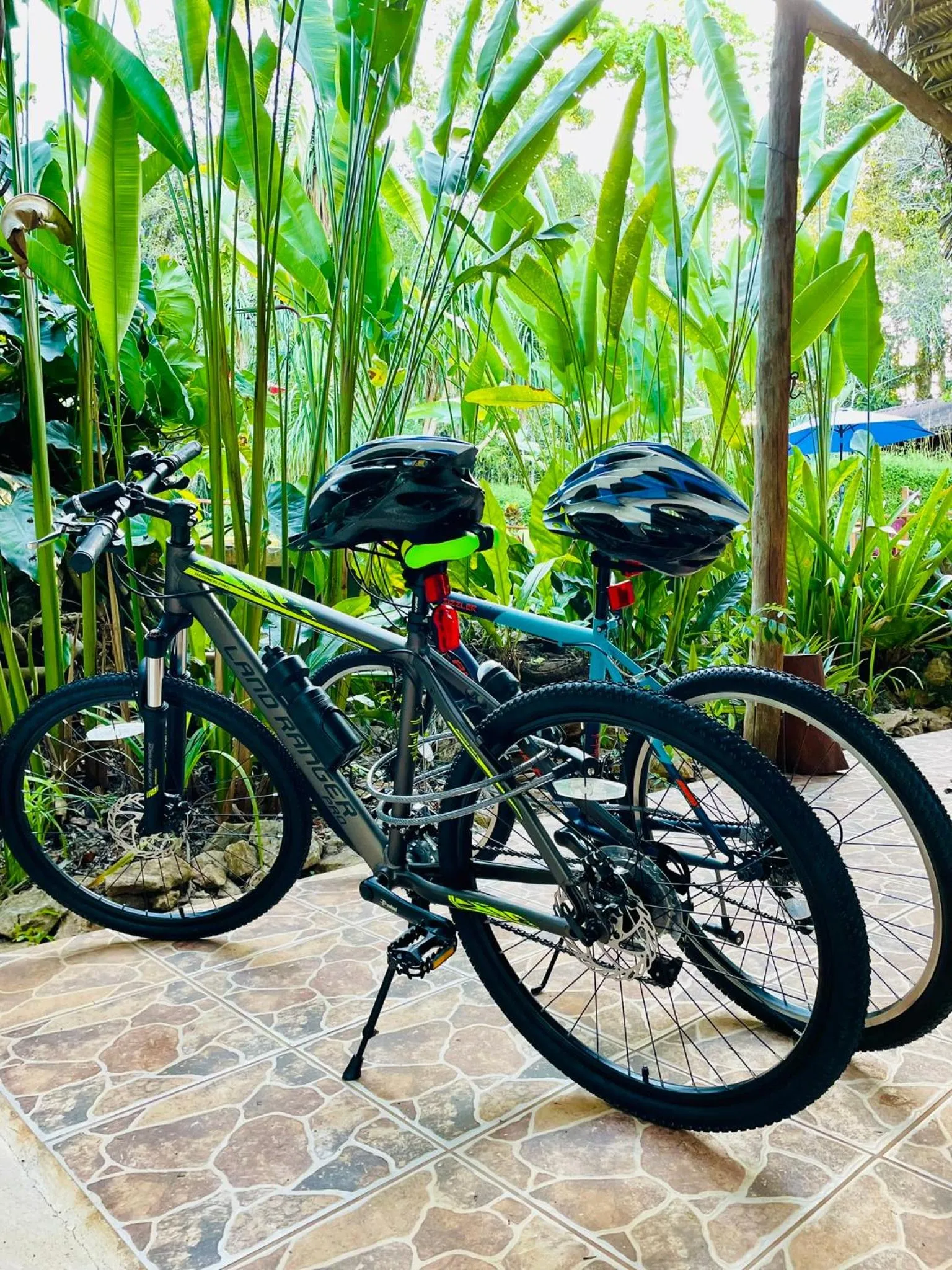 Activities in Mariposa Jungle Lodge