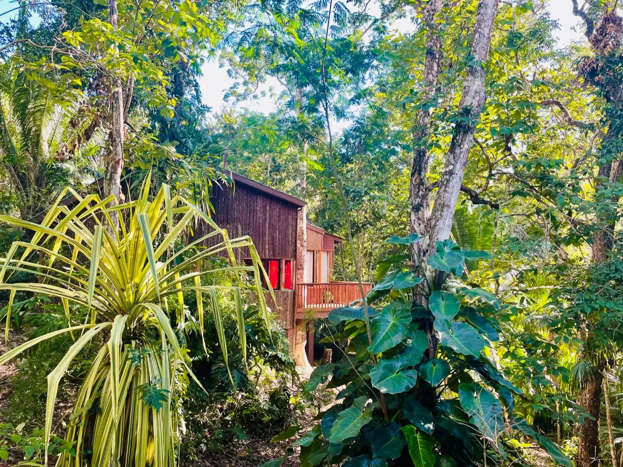 Natural landscape in Mariposa Jungle Lodge