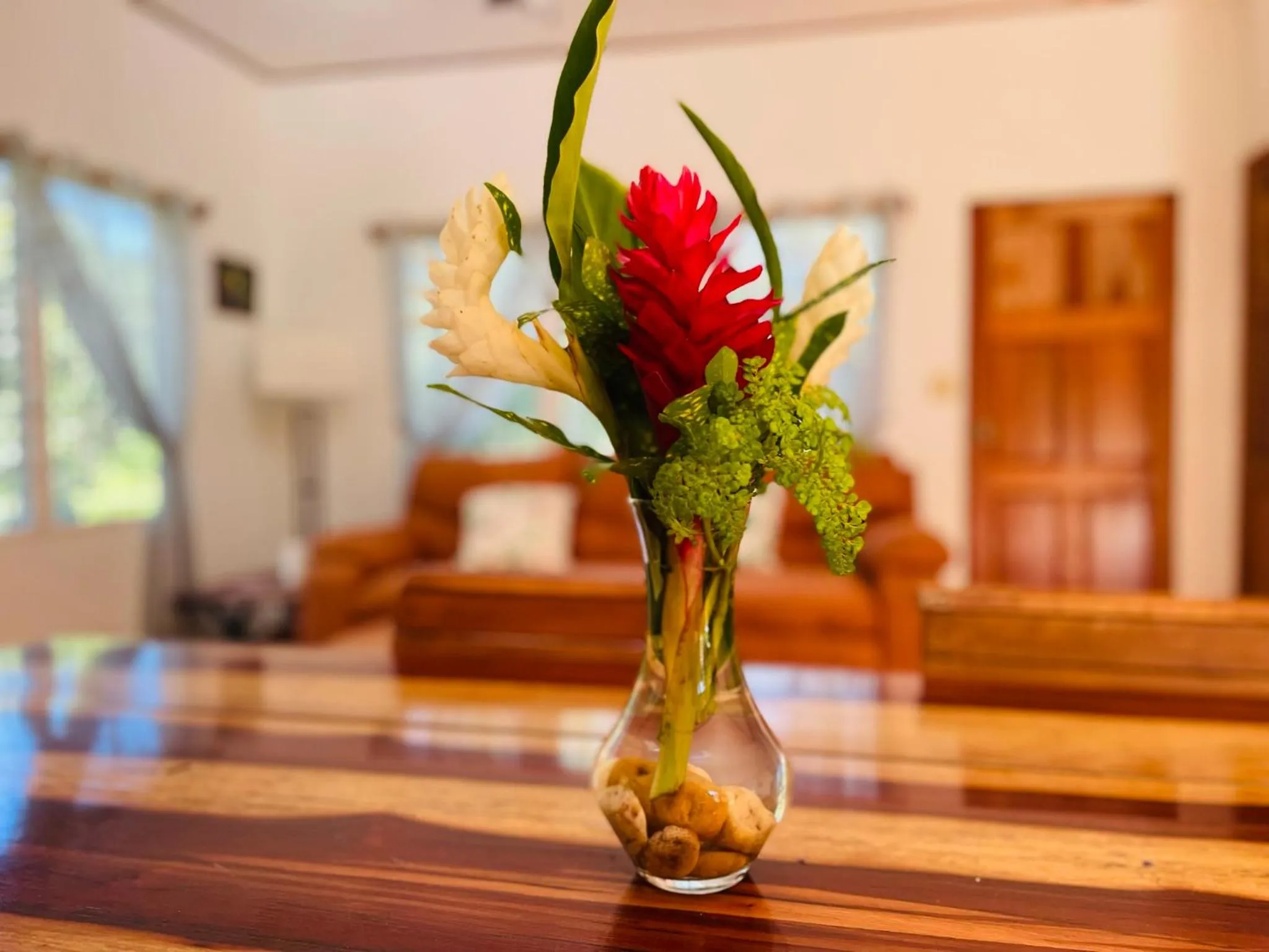 Living room in Mariposa Jungle Lodge
