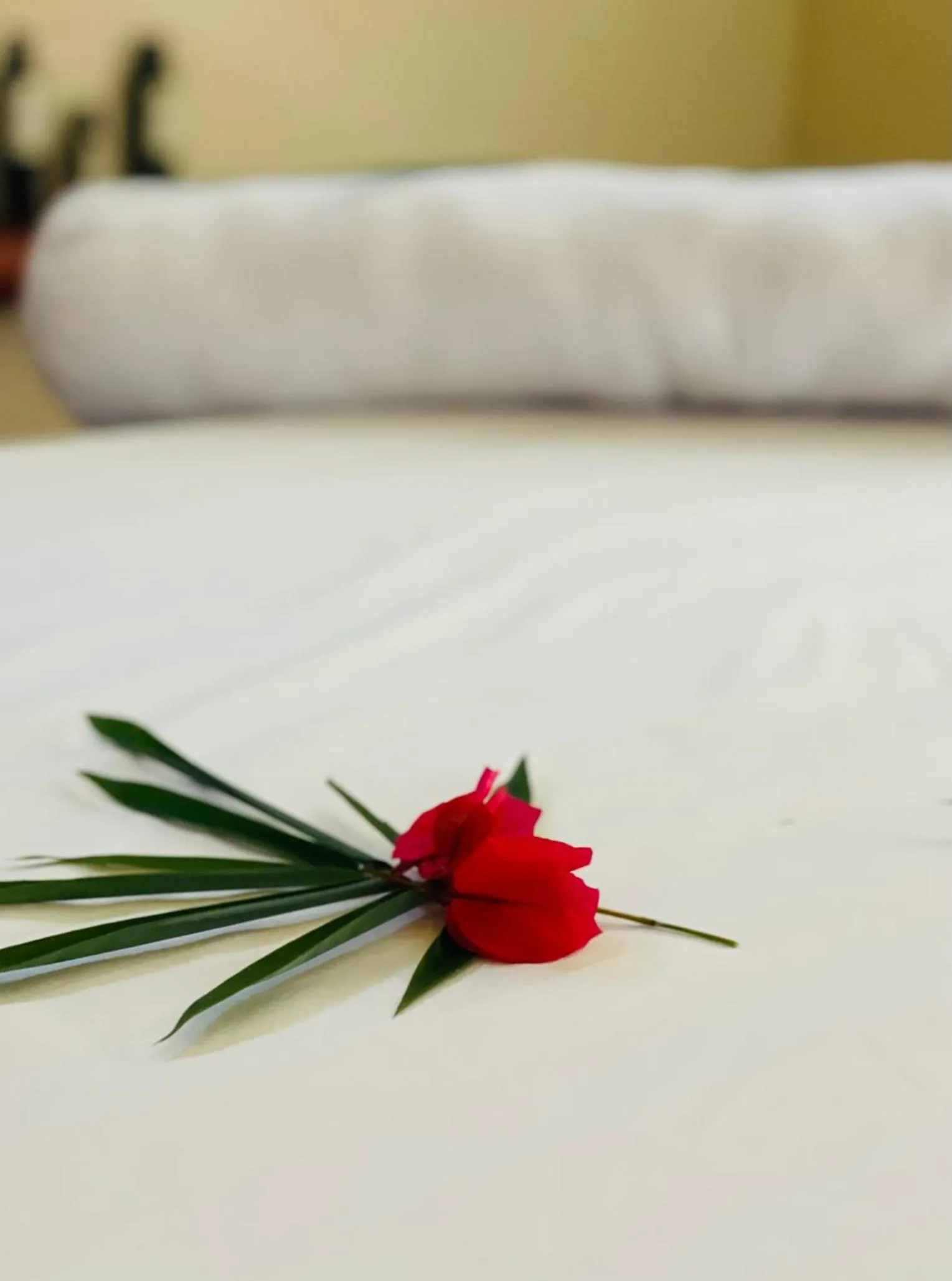 Spa and wellness centre/facilities, Bed in Mariposa Jungle Lodge