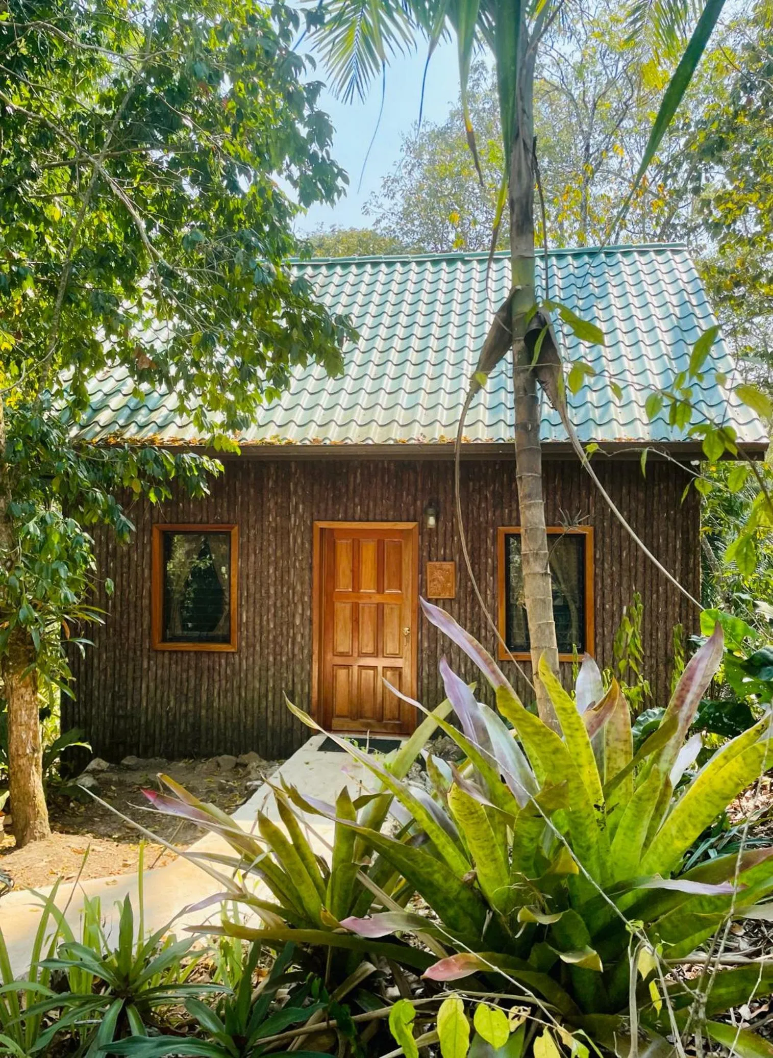 Garden in Mariposa Jungle Lodge