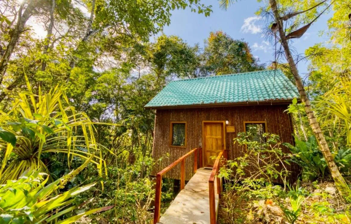 Garden in Mariposa Jungle Lodge