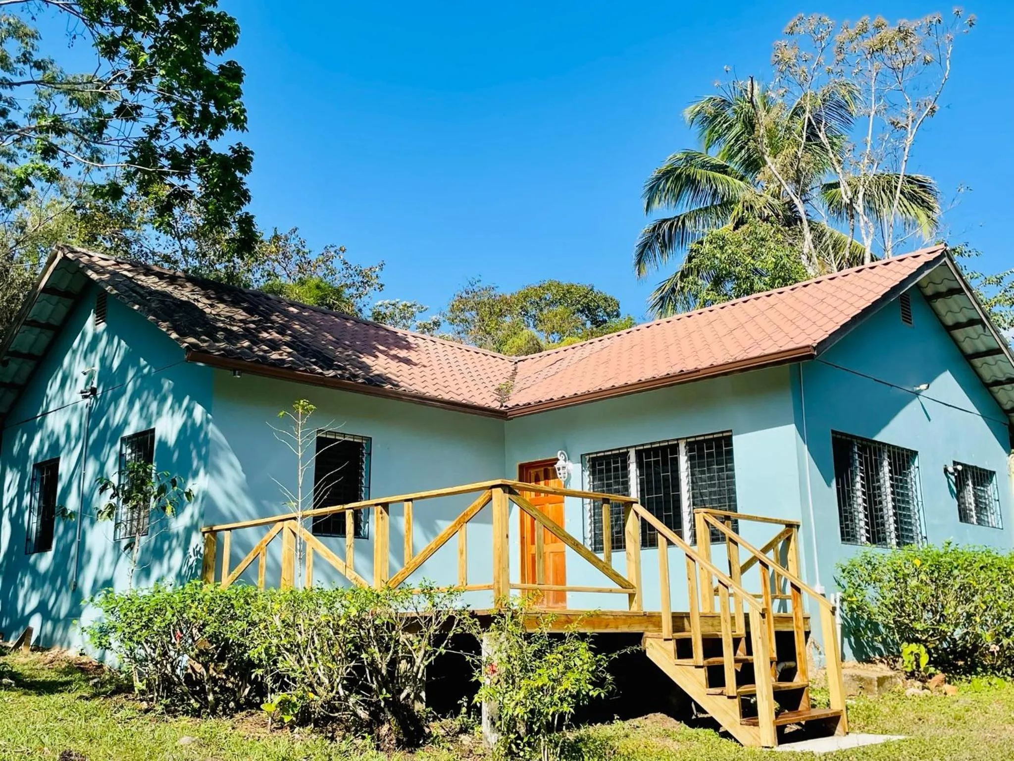 Garden in Mariposa Jungle Lodge