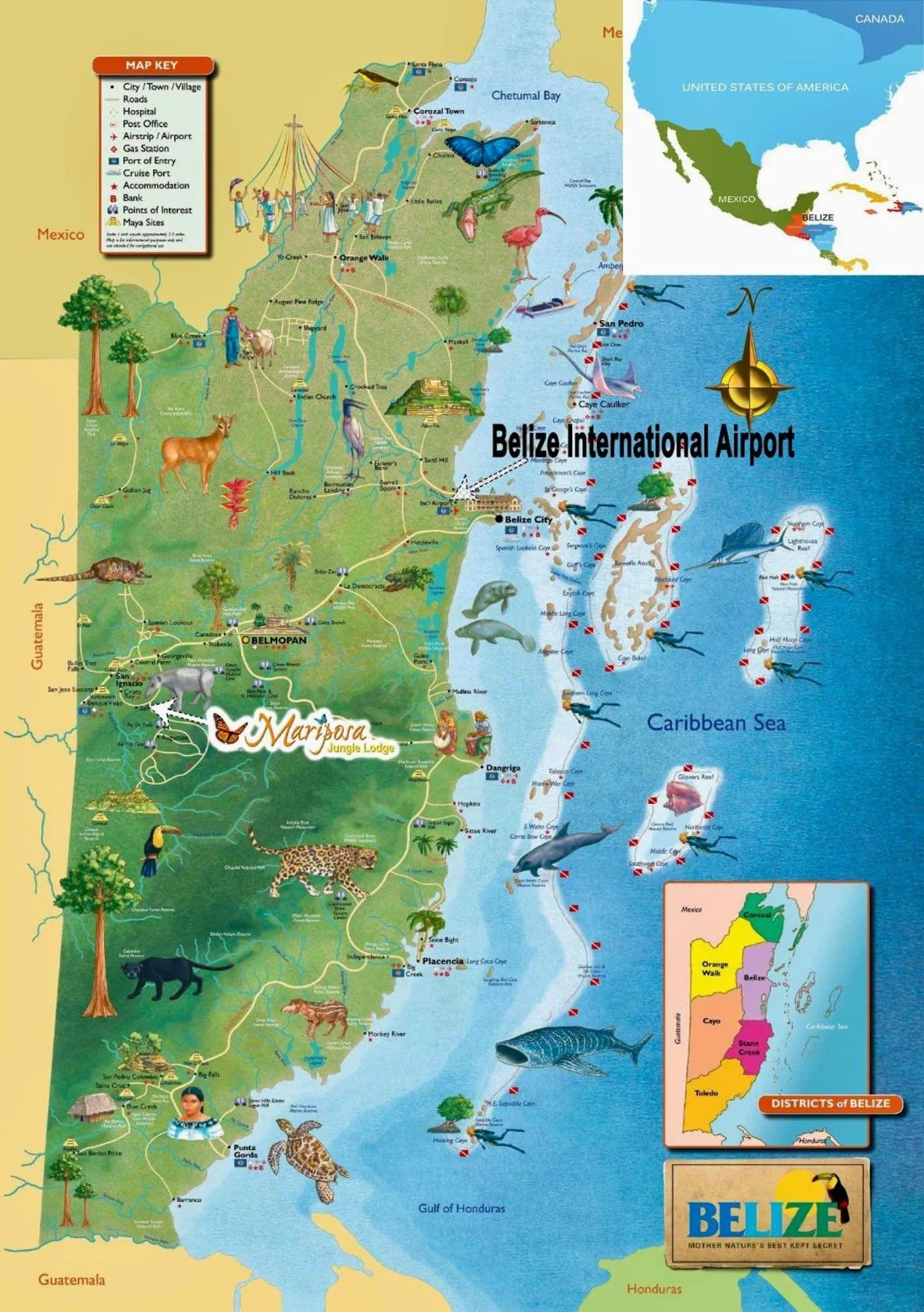 Activities in Mariposa Jungle Lodge