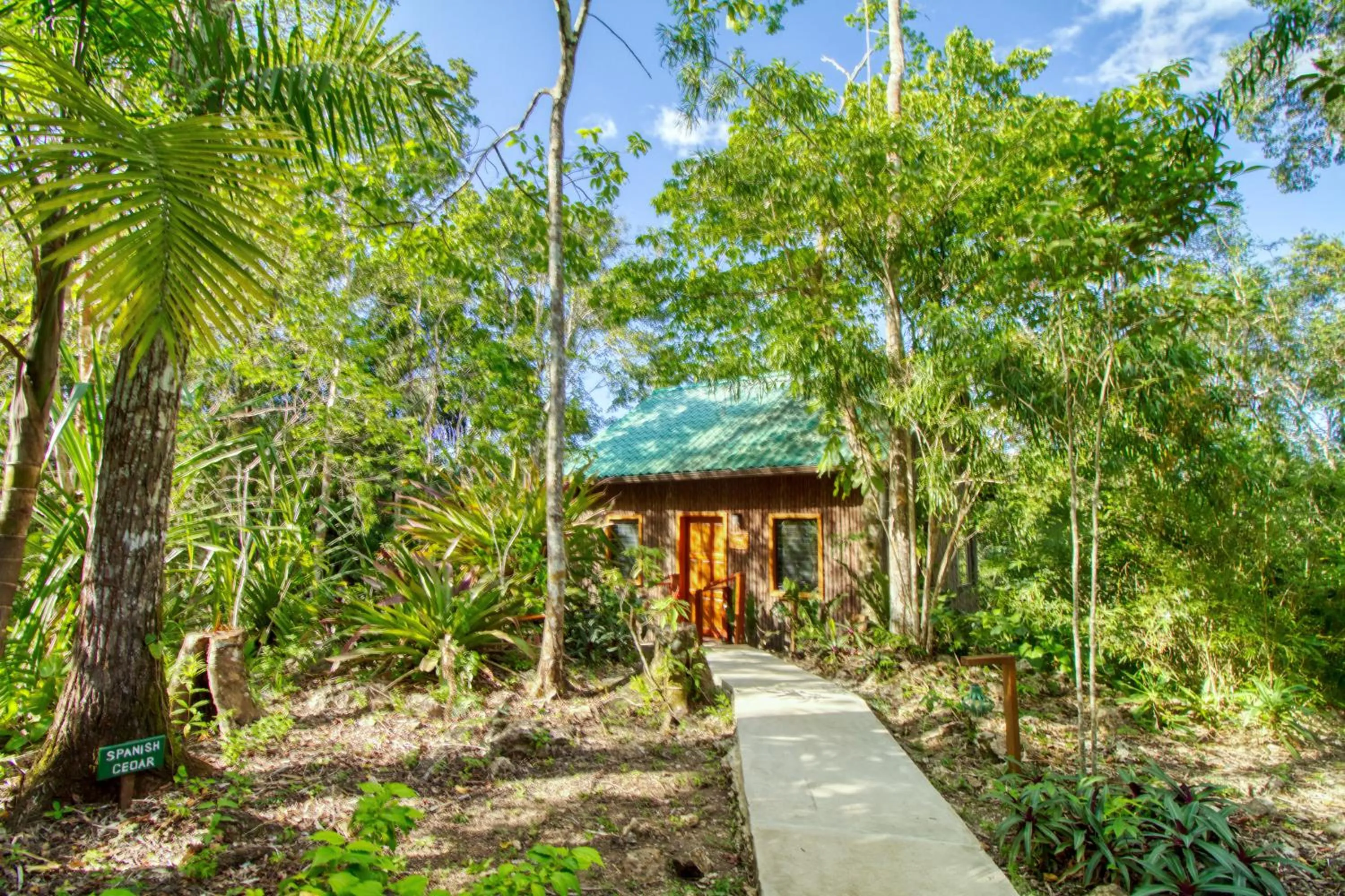 Natural landscape in Mariposa Jungle Lodge