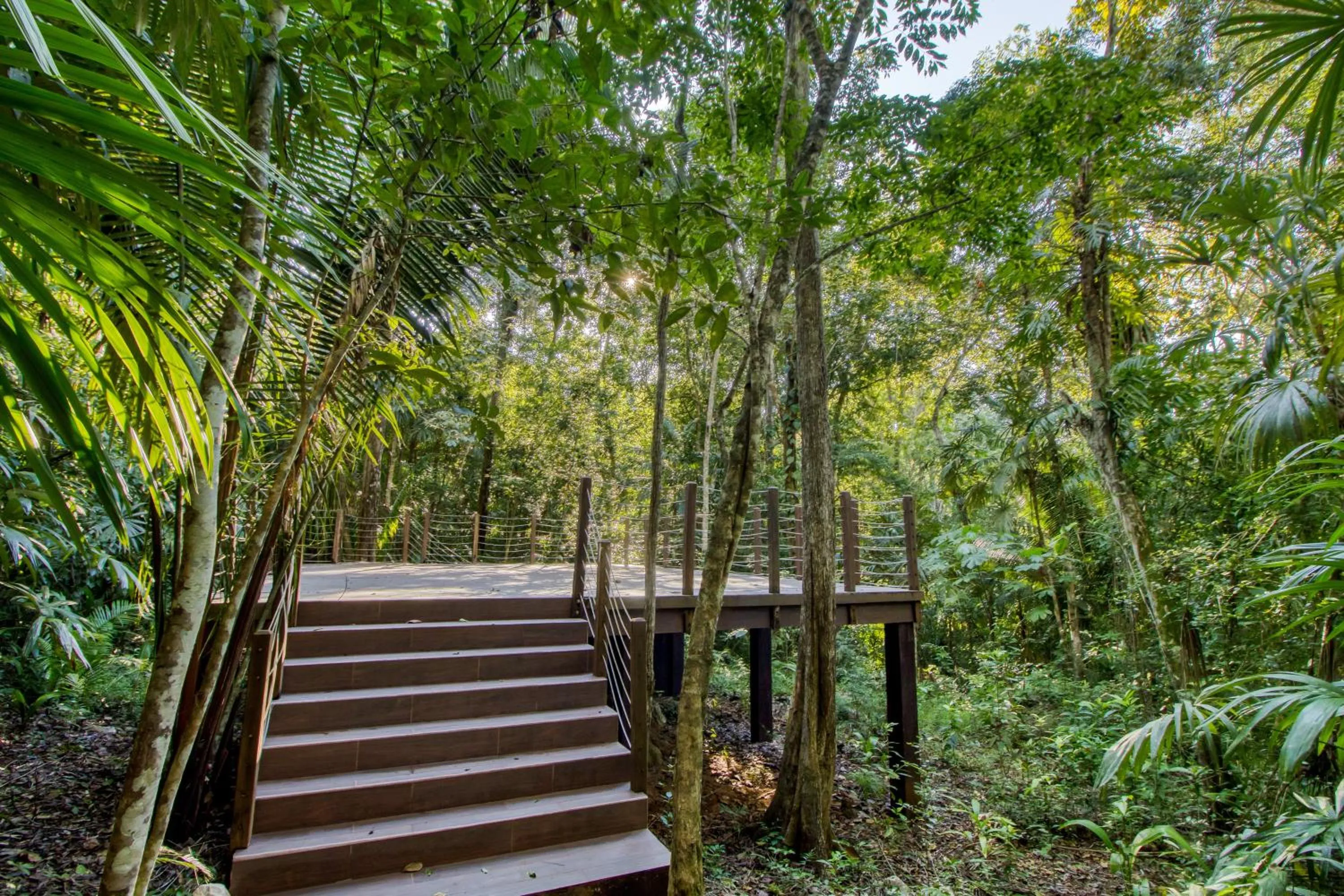 Activities in Mariposa Jungle Lodge