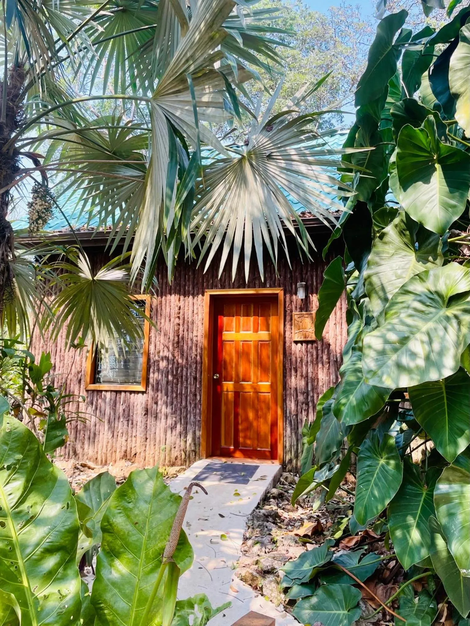Garden in Mariposa Jungle Lodge