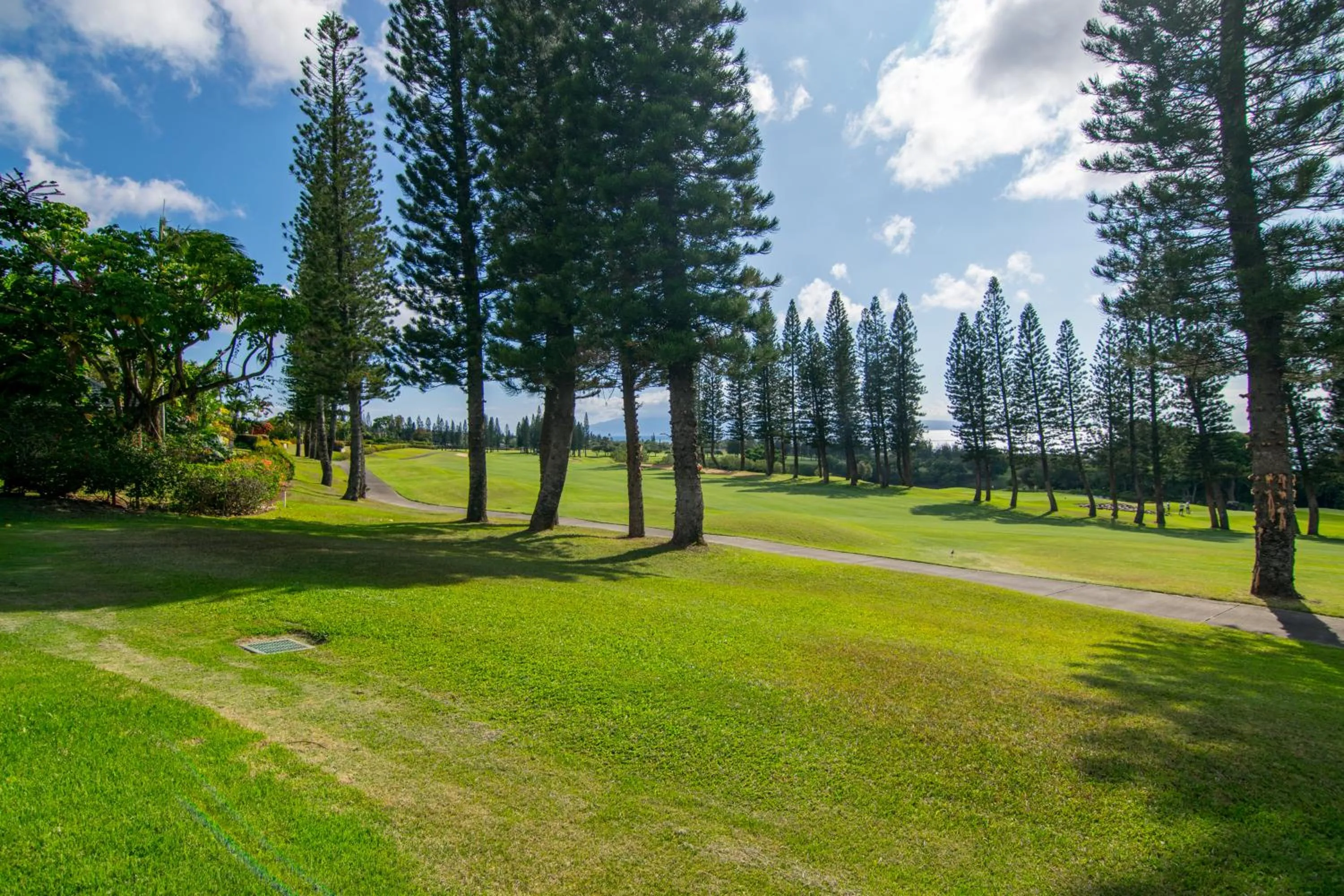 Golfcourse in Kapalua Villas Maui