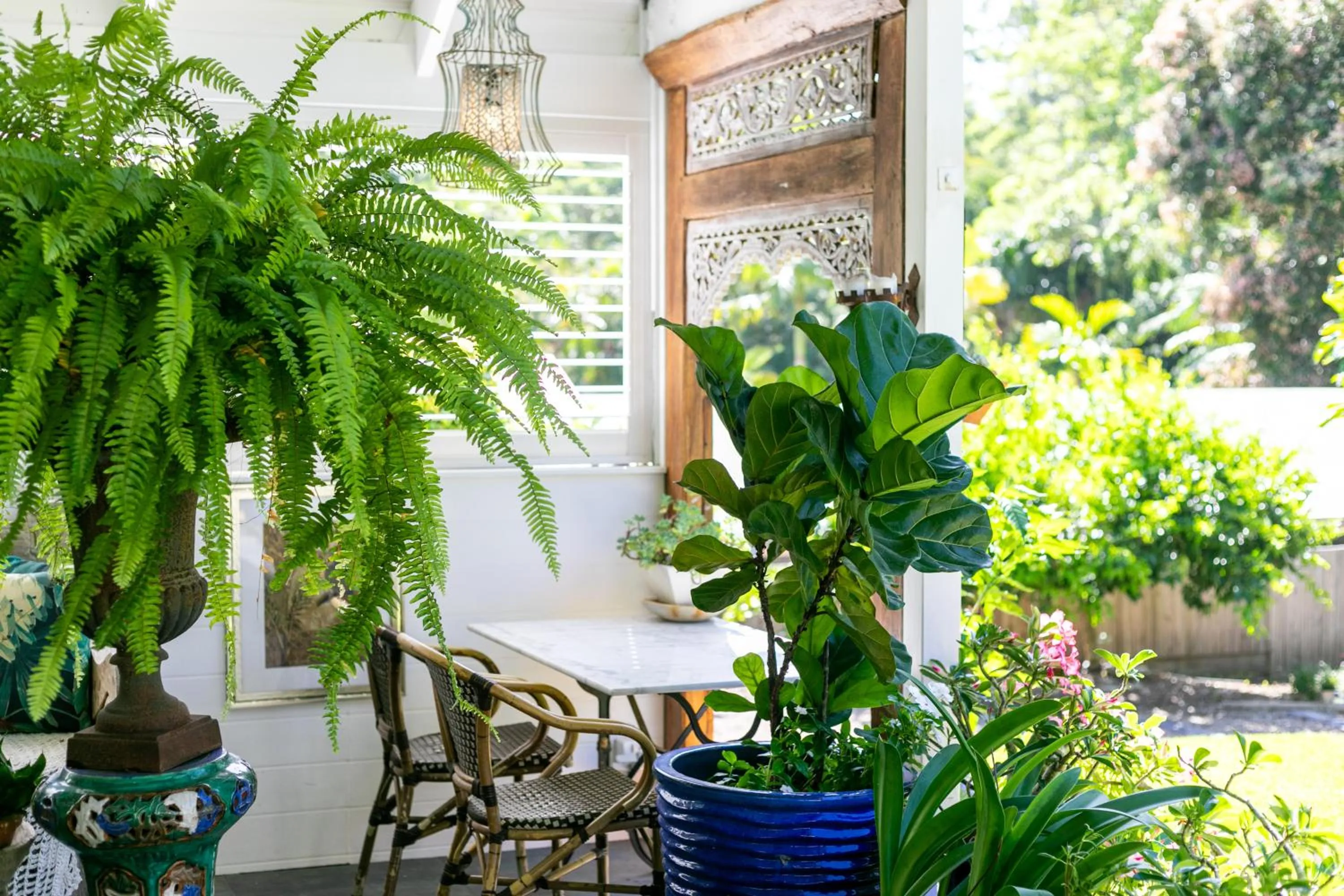 Noosa Valley Manor B&B