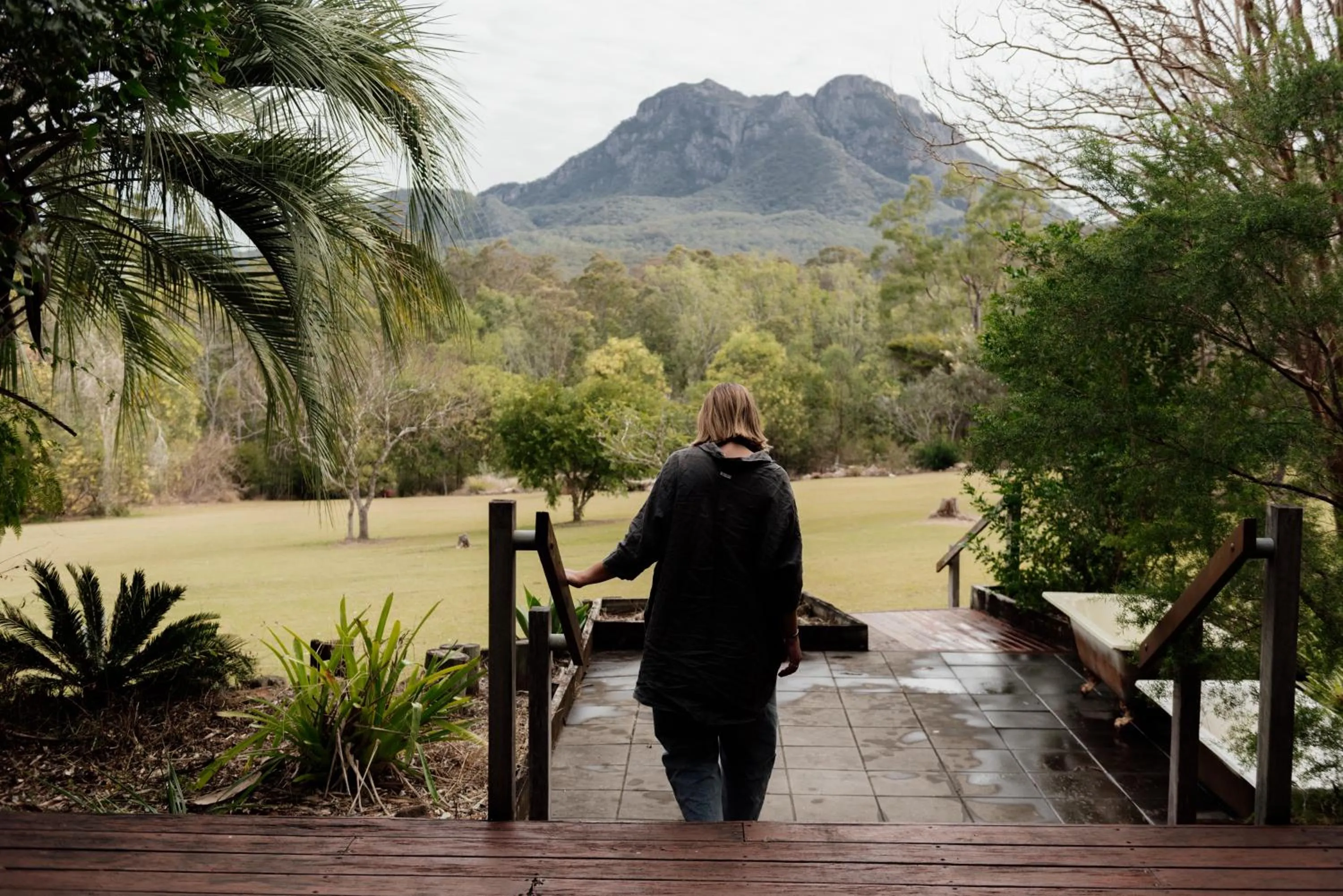 Nearby landmark in Tuckeroo Cottages & Gardens - Blue Wren & Kookaburra