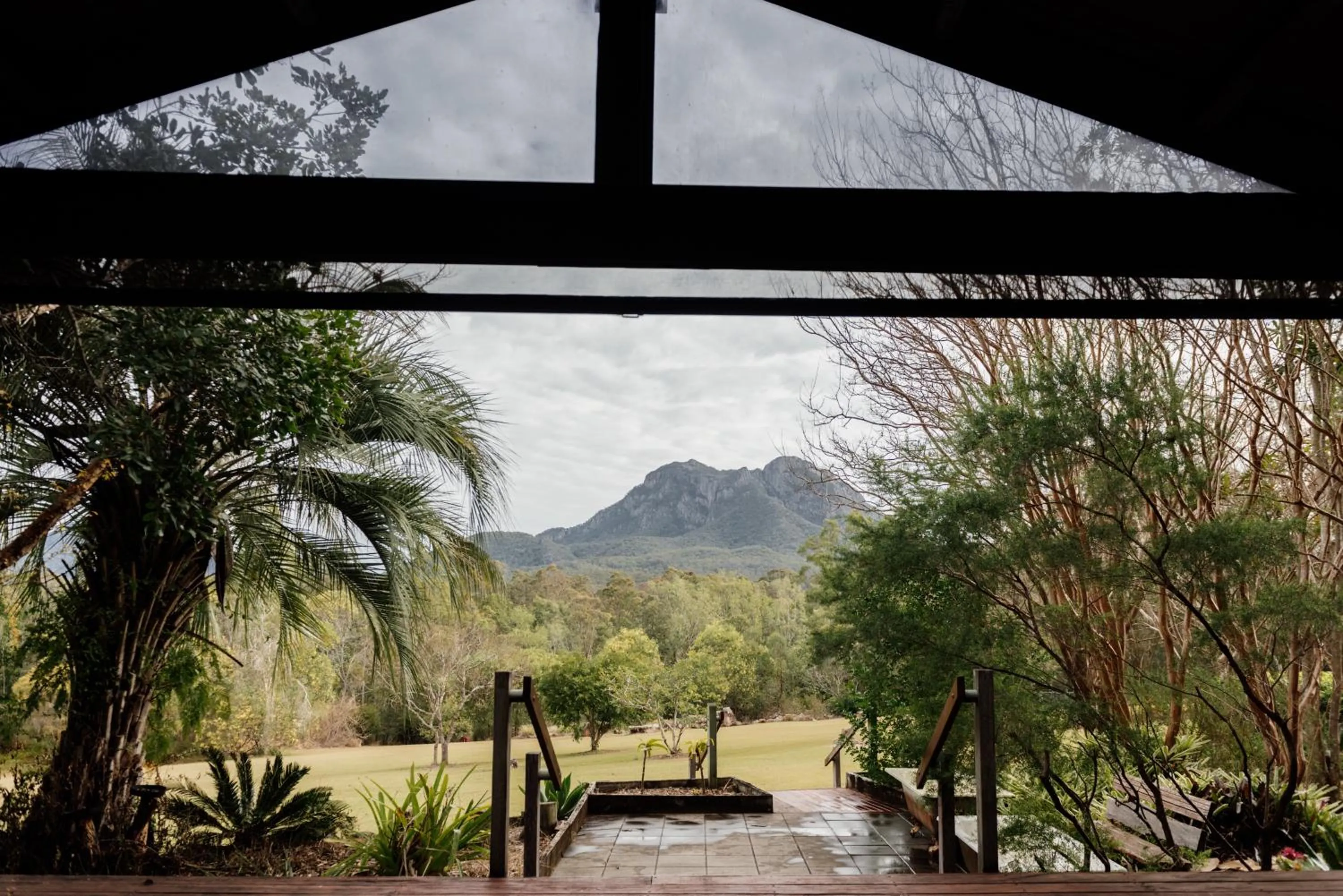 Spring in Tuckeroo Cottages & Gardens - Blue Wren & Kookaburra