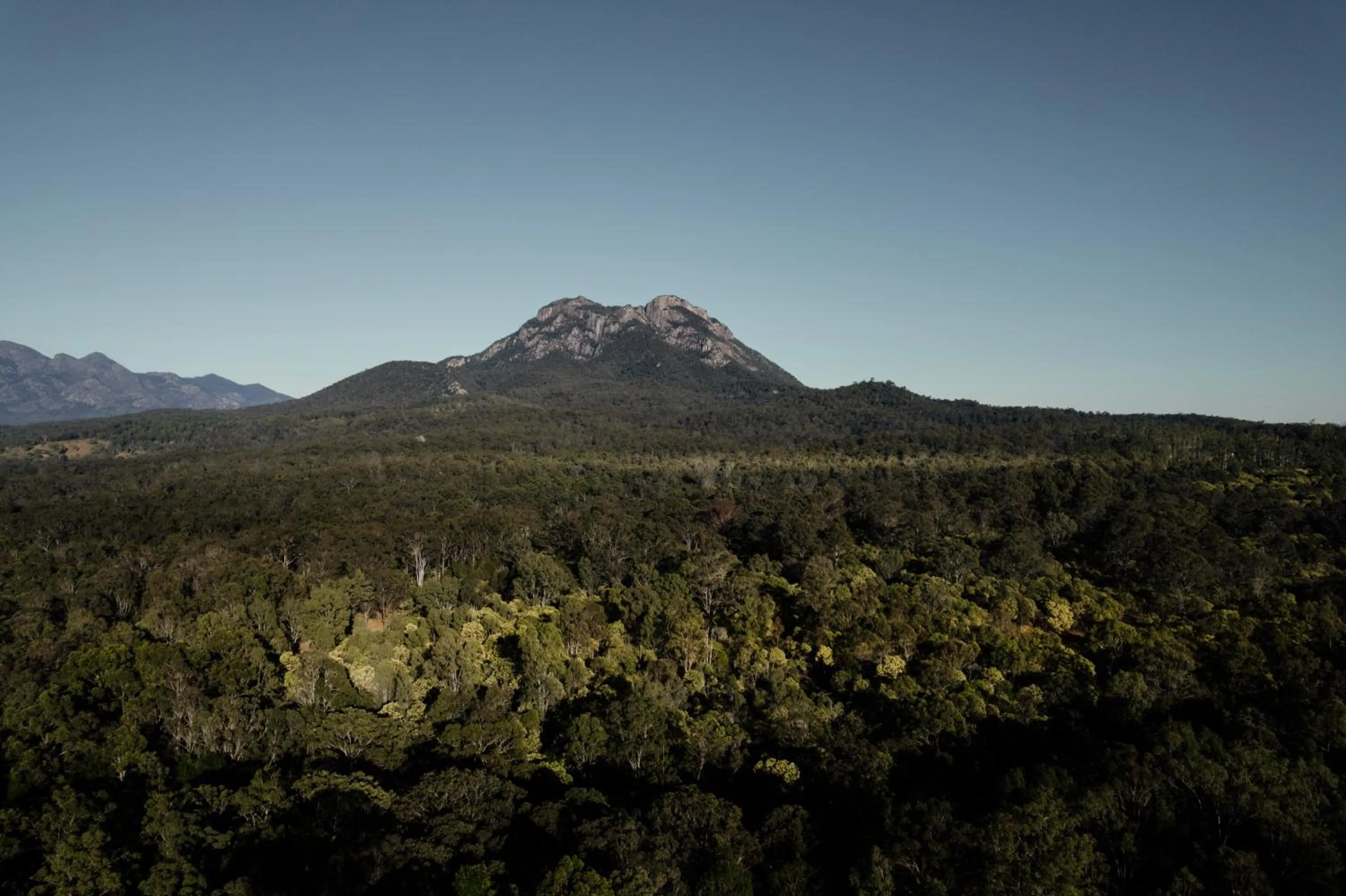 Nearby landmark in Tuckeroo Cottages & Gardens - Blue Wren & Kookaburra