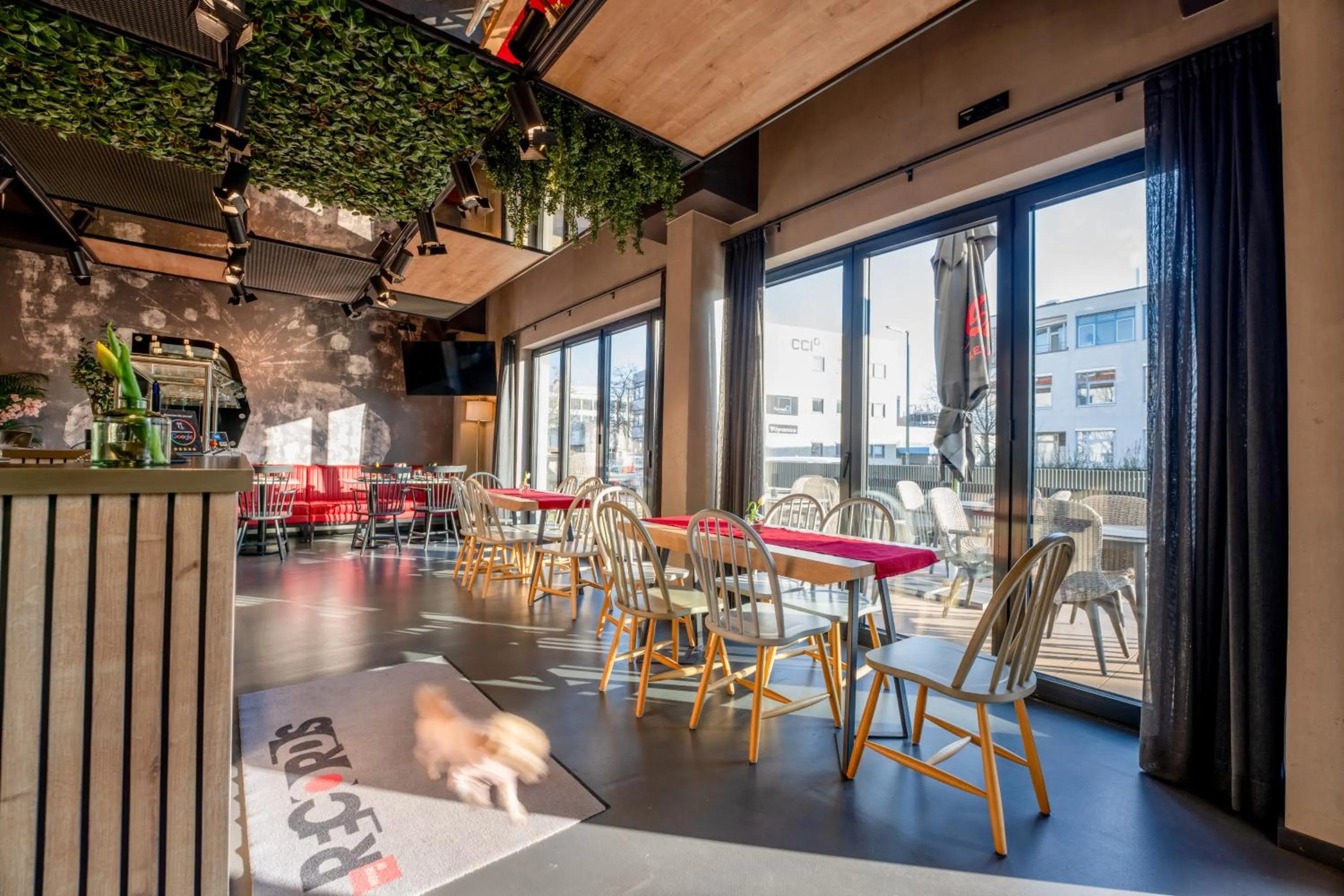 Restaurant/places to eat in House of Records