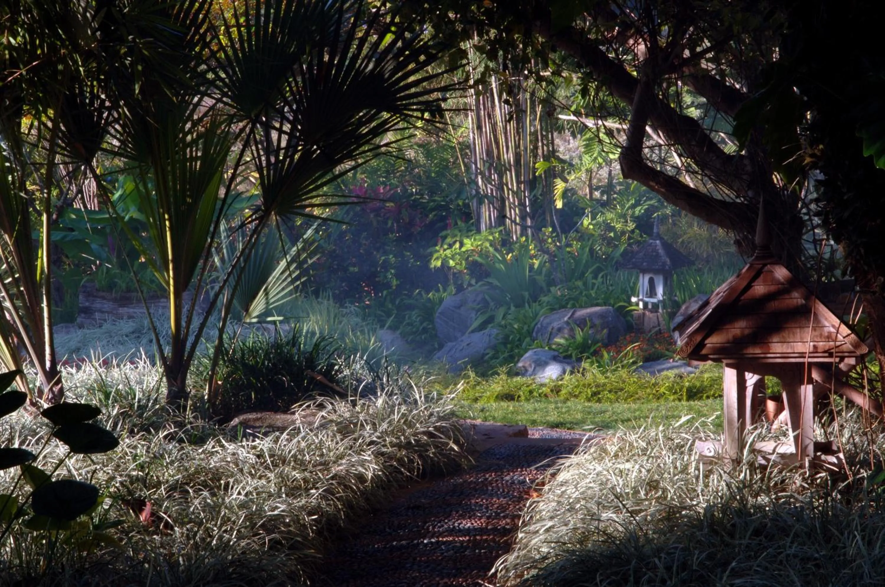 Day in Howie's HomeStay