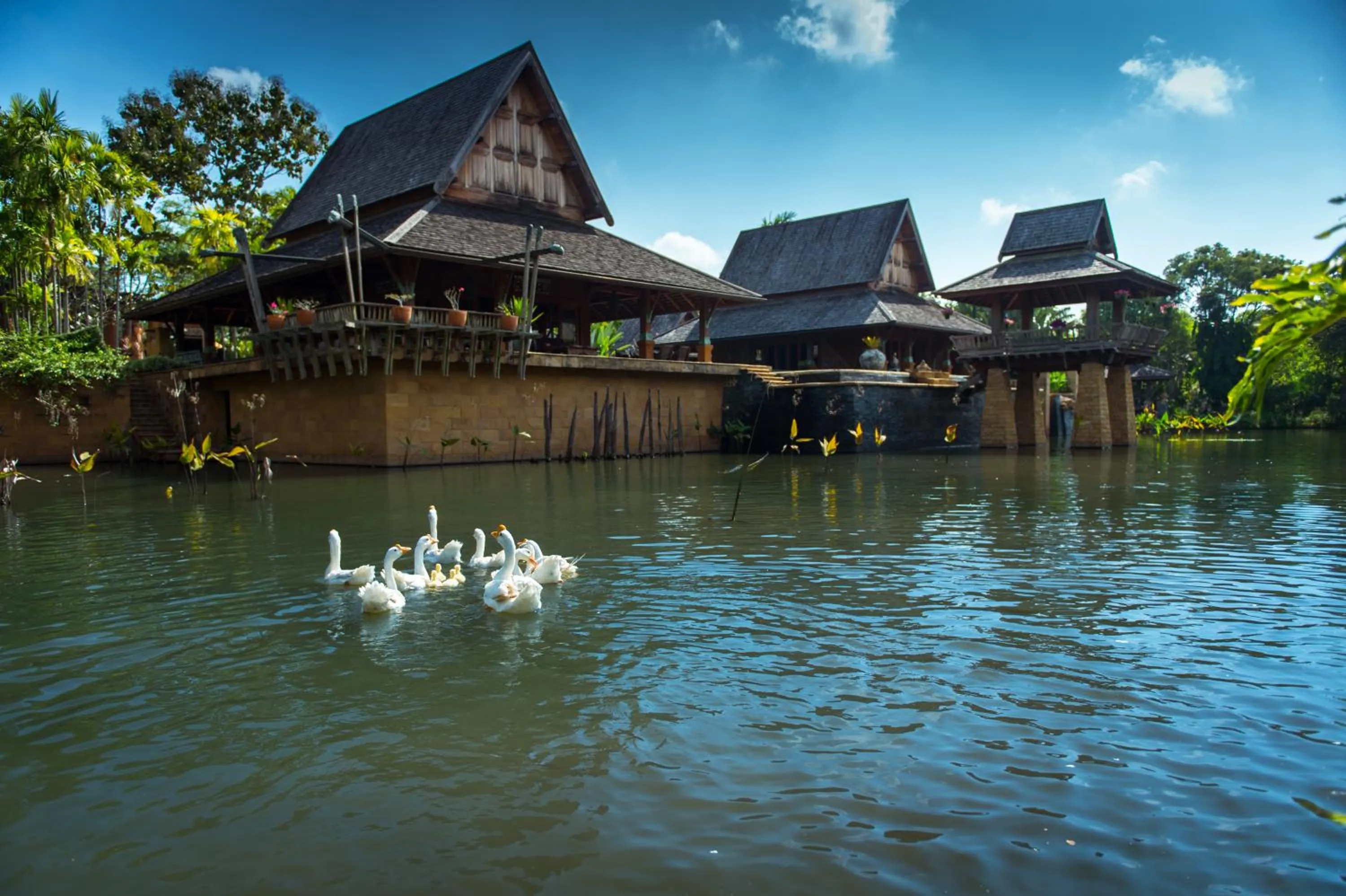 Property building in Howie's HomeStay