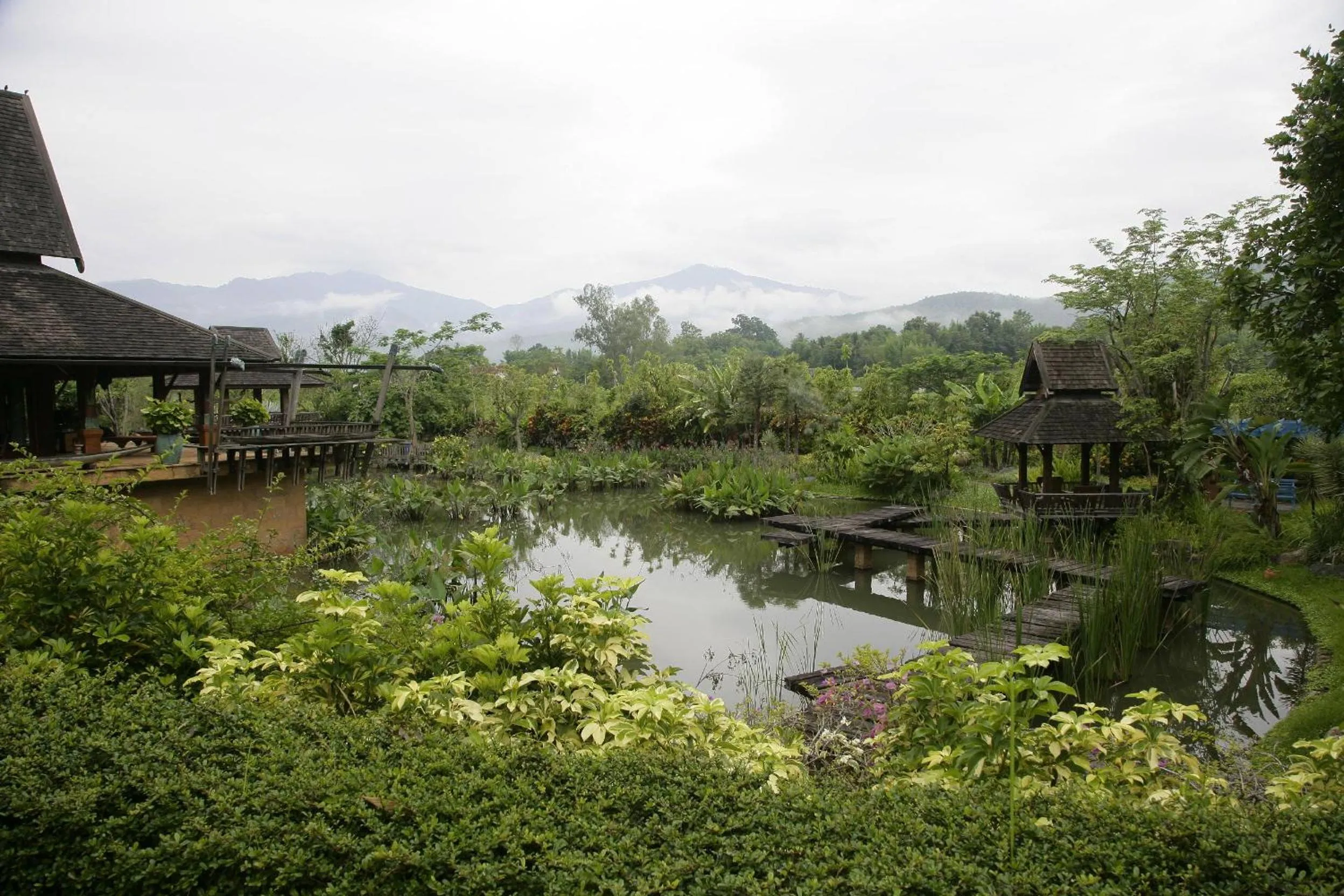 Day in Howie's HomeStay