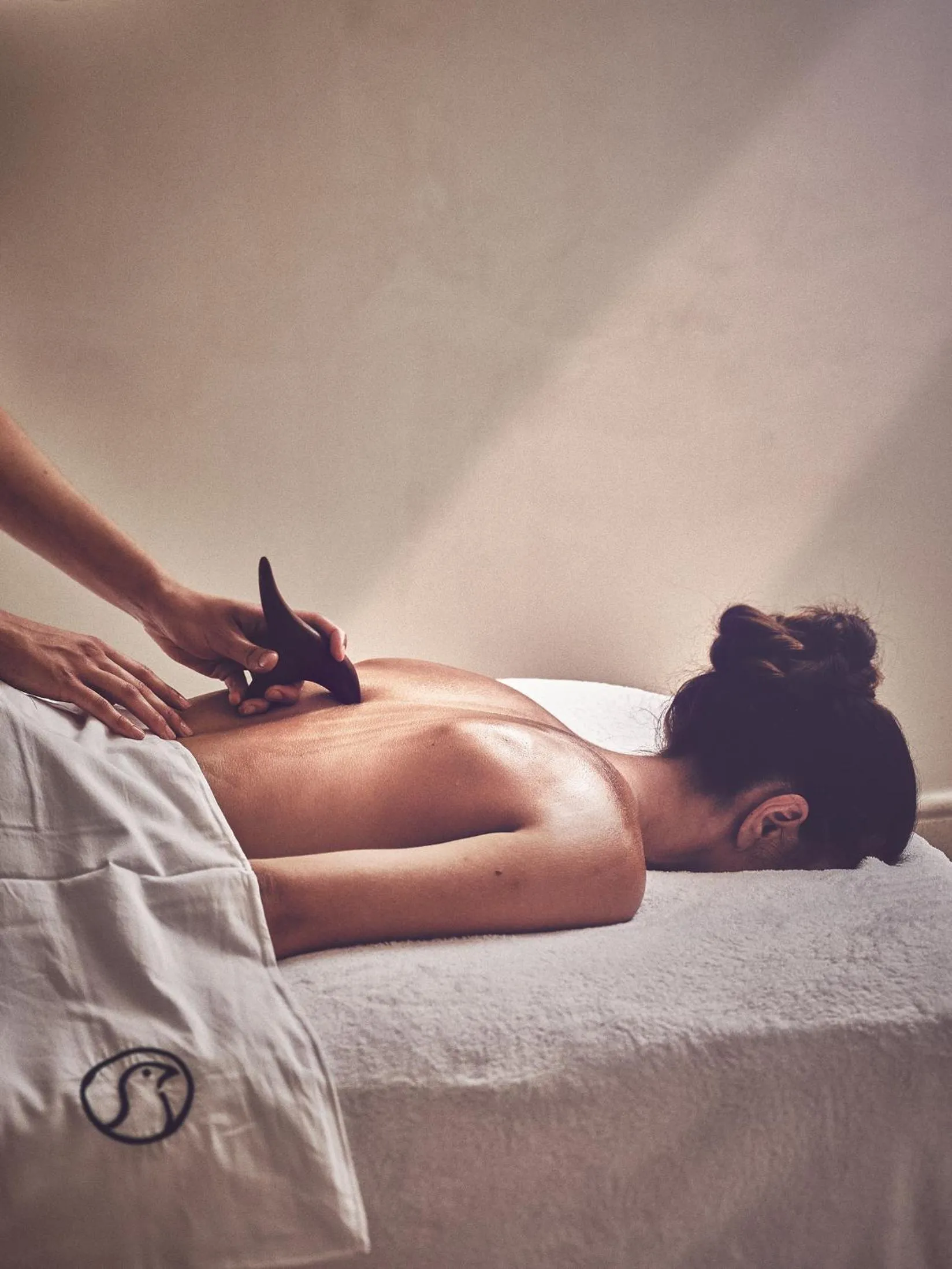 Massage in Le Pigonnet - Esprit de France