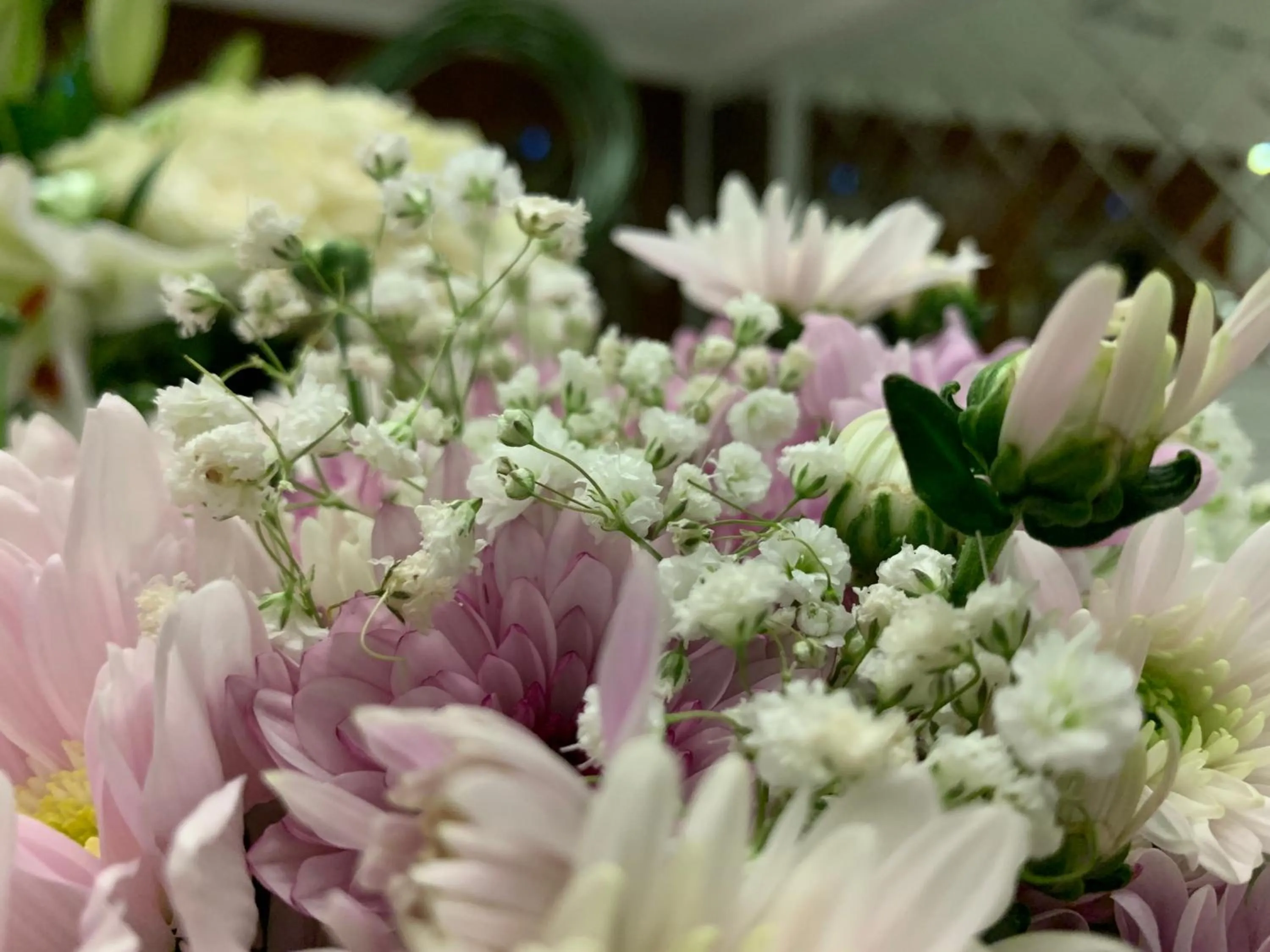 Lobby or reception in Tripper Inn - تريبر إن