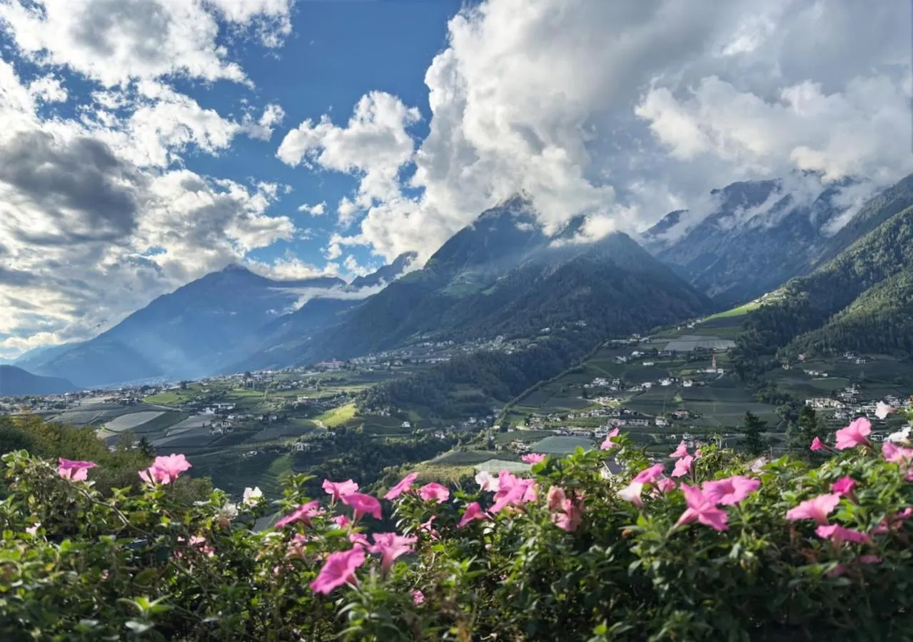 View (from property/room) in Hotel Schlosswirt
